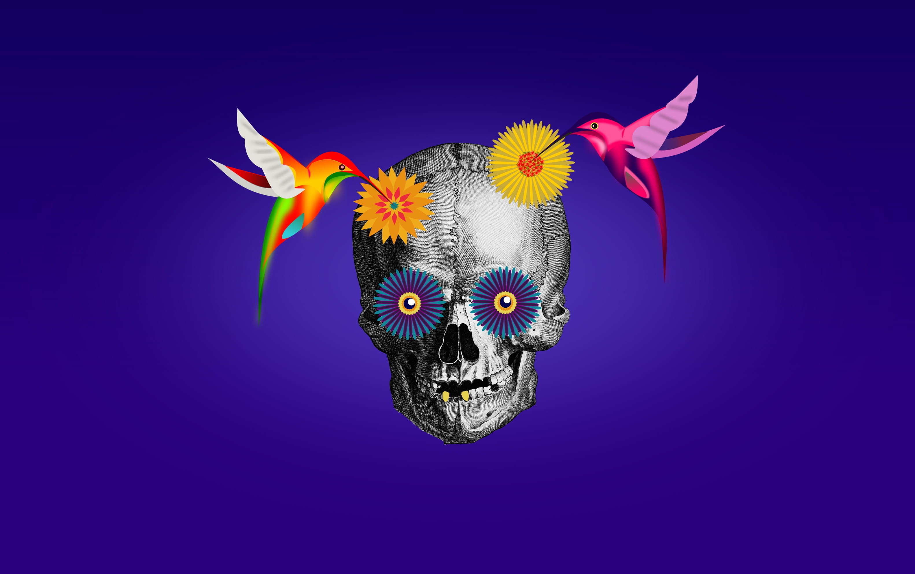aztec, dia, calavera, animal body part, horror, flower, festival, hummingbirds, skulls, illustration, purple, sugar, indoors, smiling, butterfly - insect, HD Wallpaper