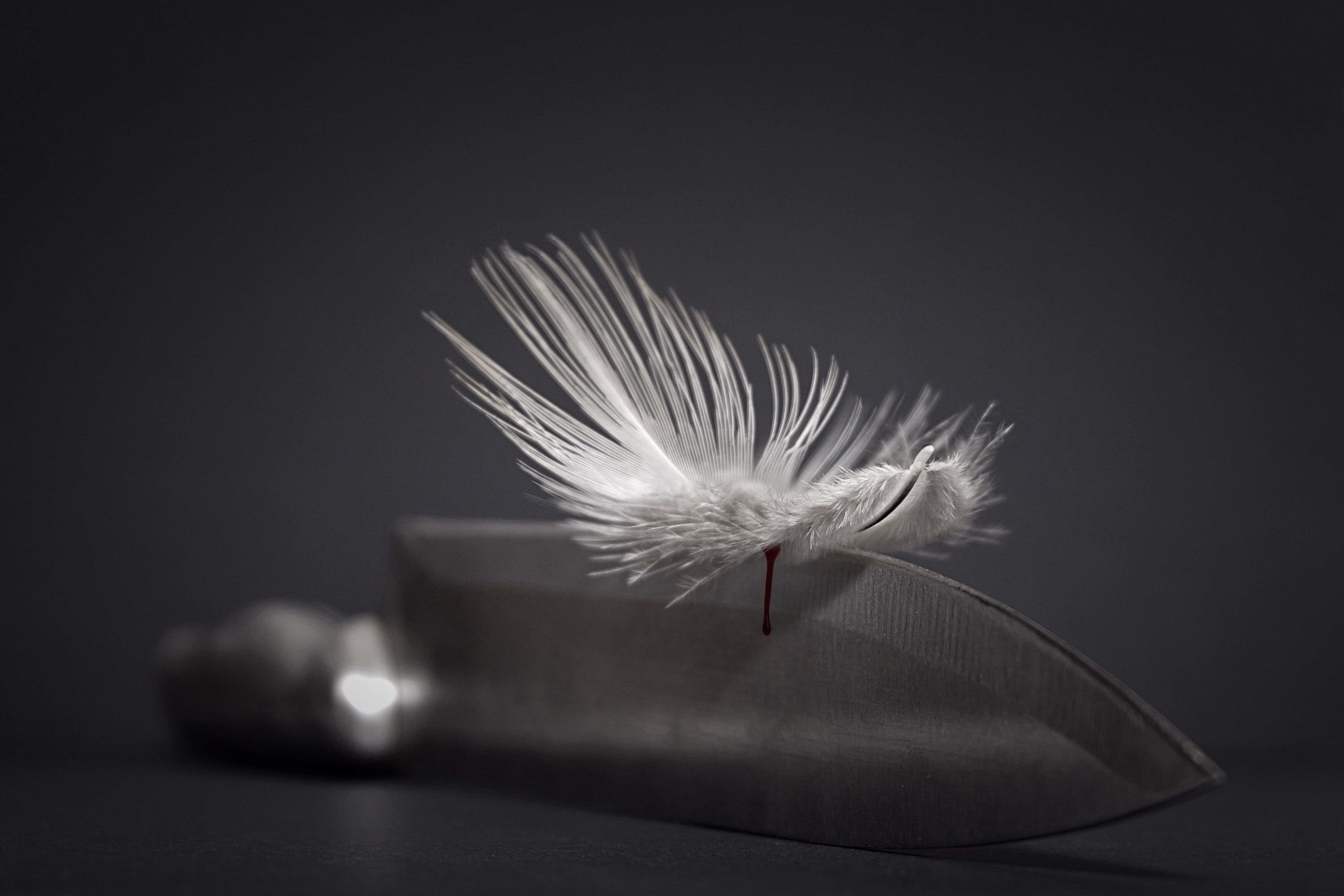 sign, colored, military  decoration, cross, design, On the edge, marker, blossom, silver, ink, nature, paintbrush, paper  art, print, feather, ornament, HD Wallpaper