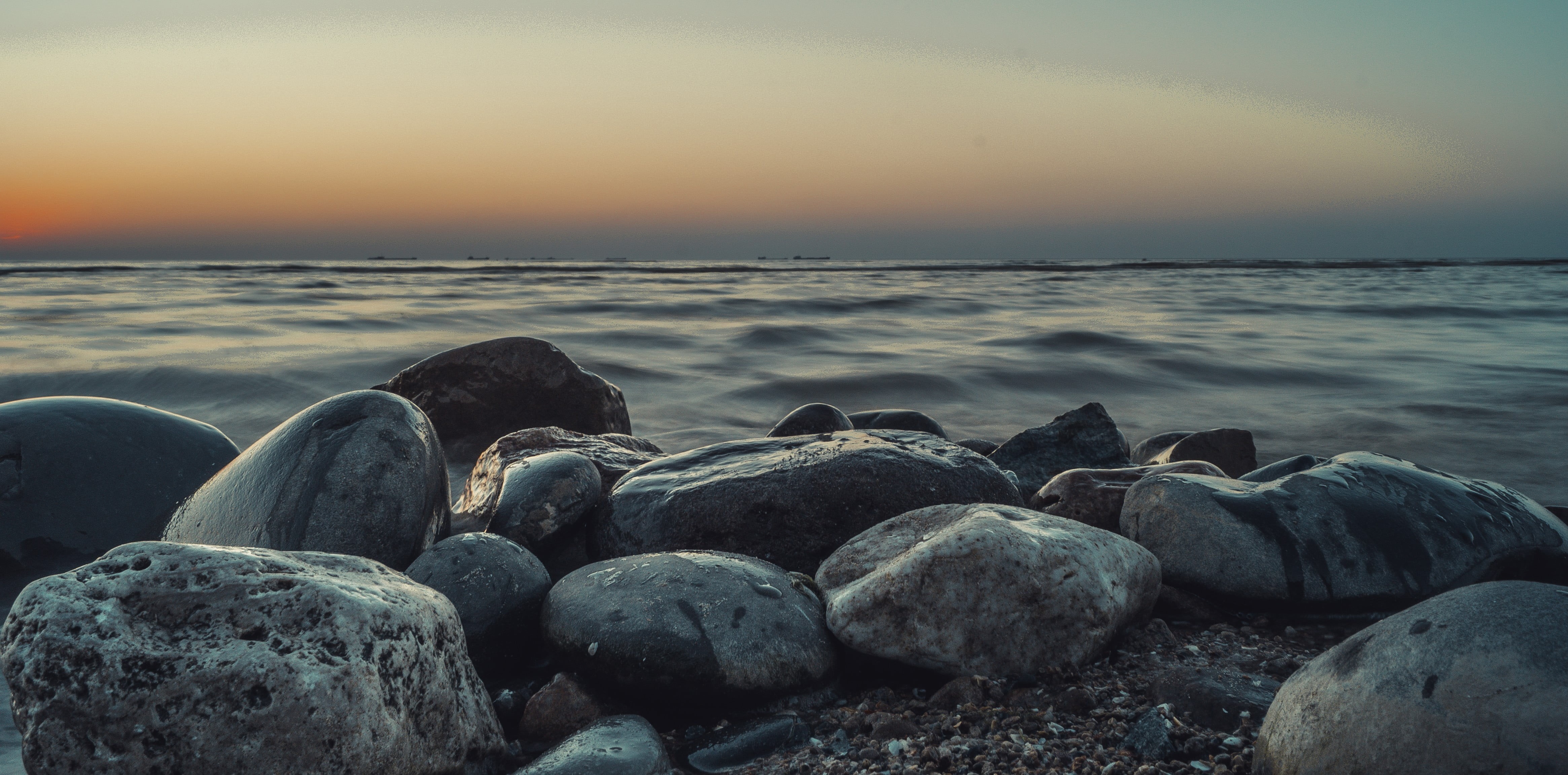 solid, water, rock, nature, seals, pebble, beauty in nature, no people, sky, horizon, rock - object, outdoors, lot, tranquil scene, tranquility, beach, HD Wallpaper
