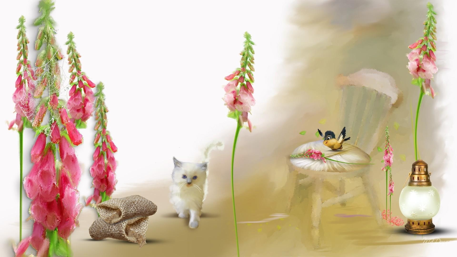 kitty, burlap, bird, lantern, flowers, 1080P, chair, summer, kitten, firefox persona, foxgloves, spring, summe, HD Wallpaper