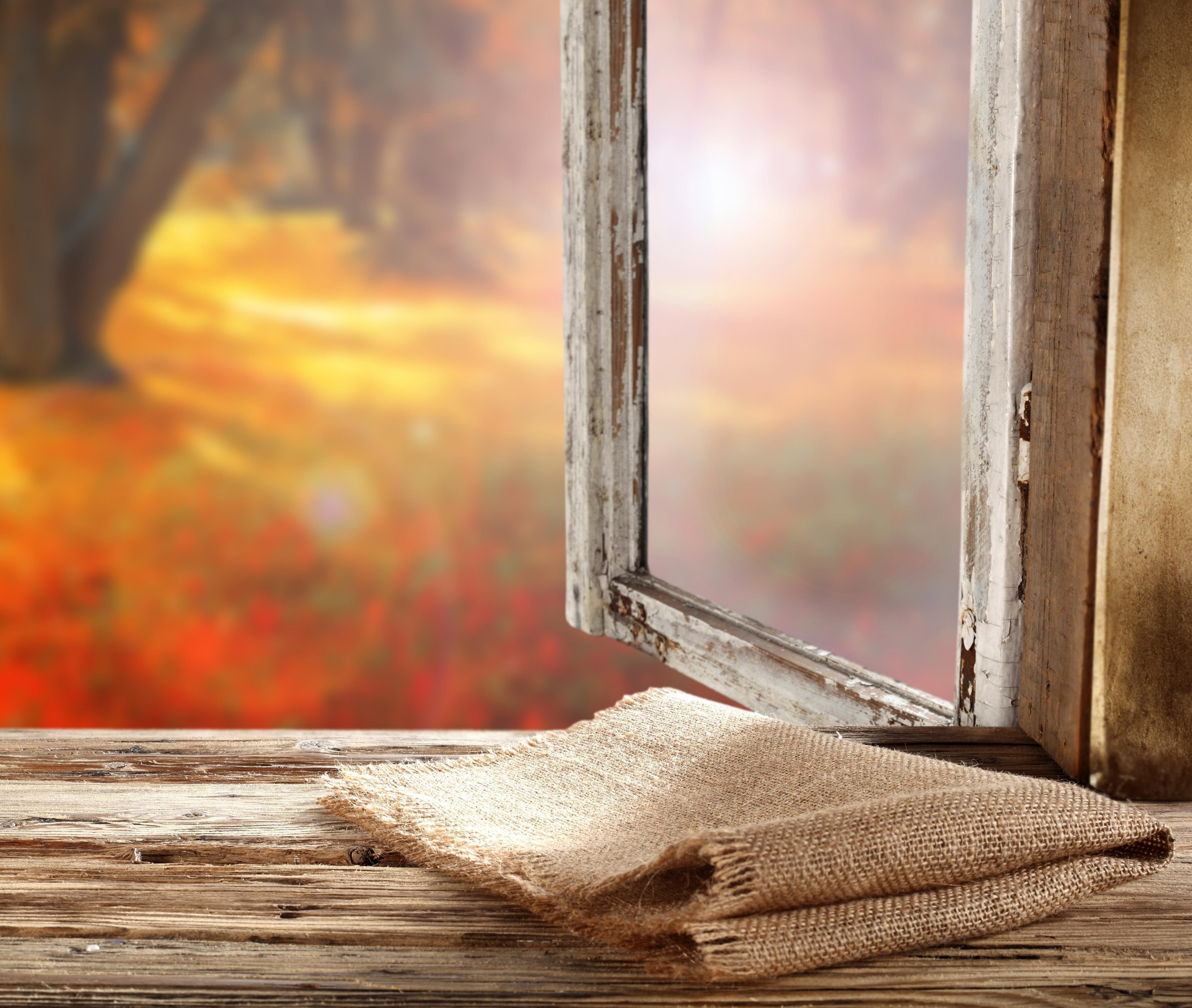 outdoors, sunlight, focus on foreground, no people, tree, day, brown, change, textile, autumn, orange color, nature, close-up, built structure, window, HD Wallpaper