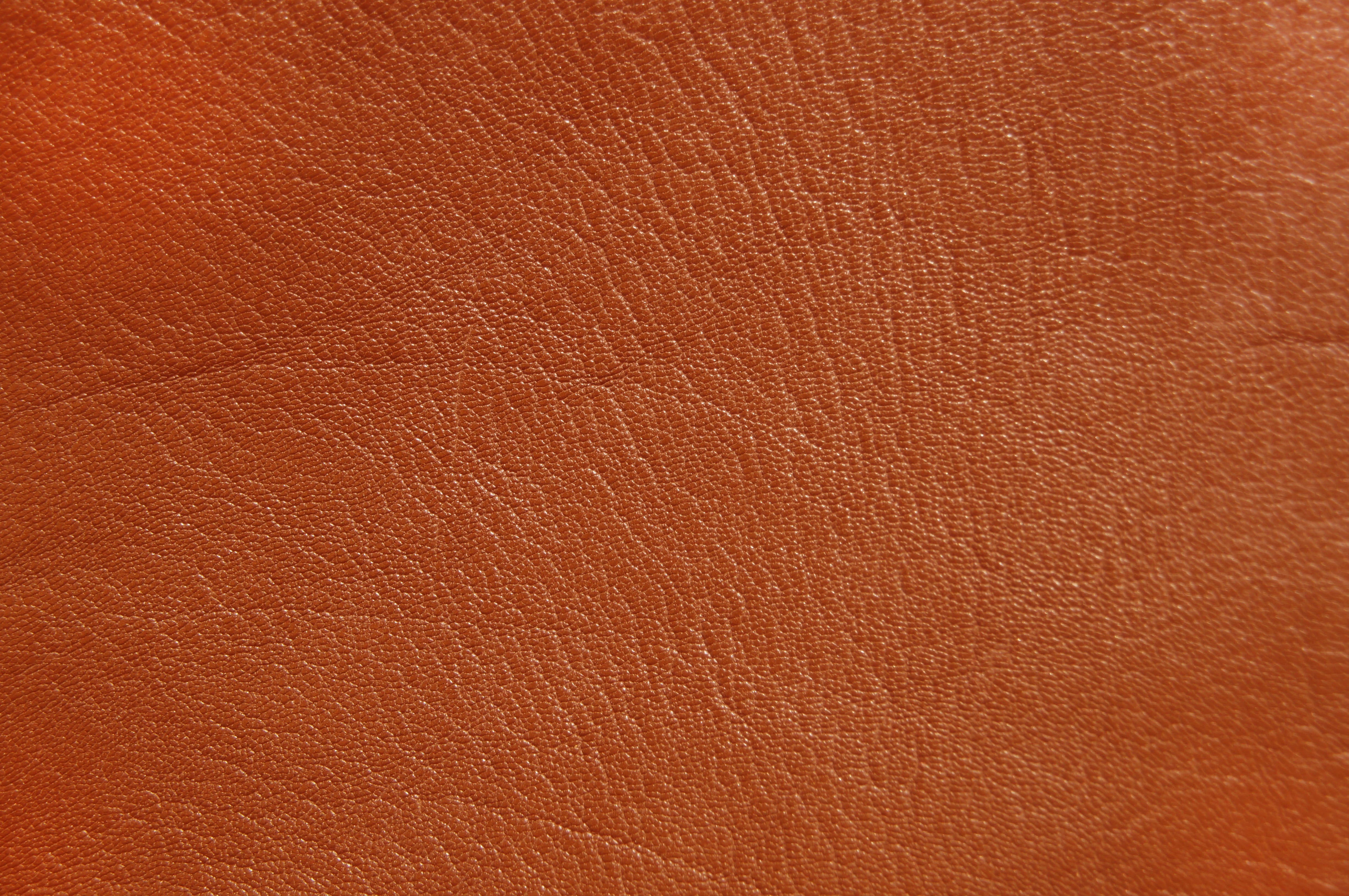 animal skin, skin, area, textured effect, wall - building feature, brown, real leather, structure, orange, 4K, orange color, backgrounds, nature, copy space, HD Wallpaper