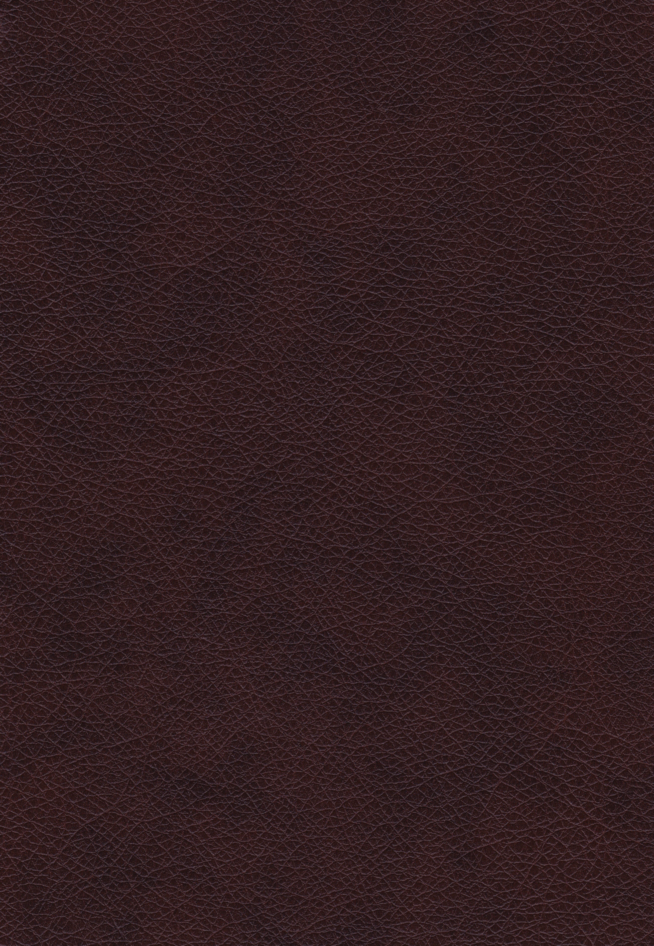 create, artistic, textured, rough, rau, textures, art, real feather, creative, red, concrete wall, fur, brown, leather, abstract, extreme close-up, textured effect, Phone HD Wallpaper