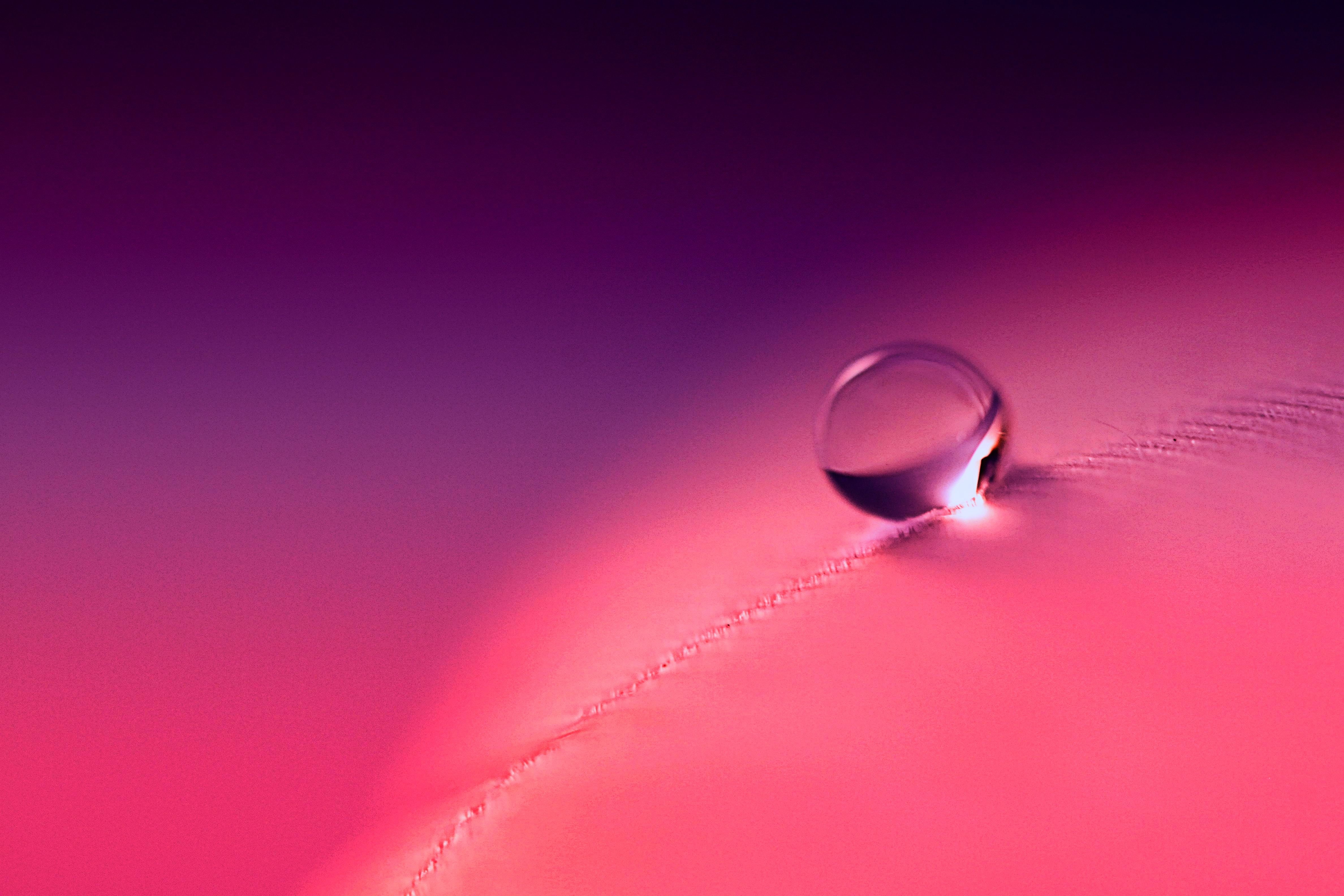 reflection, water drop, HSS, PINK, WATER  DROP, Tears Roll Down, textile, TEARS  ROLL  DOWN, MACRO, 4K, SCOTLAND, liquid, water, DOWN  FEATHER, COLOURS, HD Wallpaper