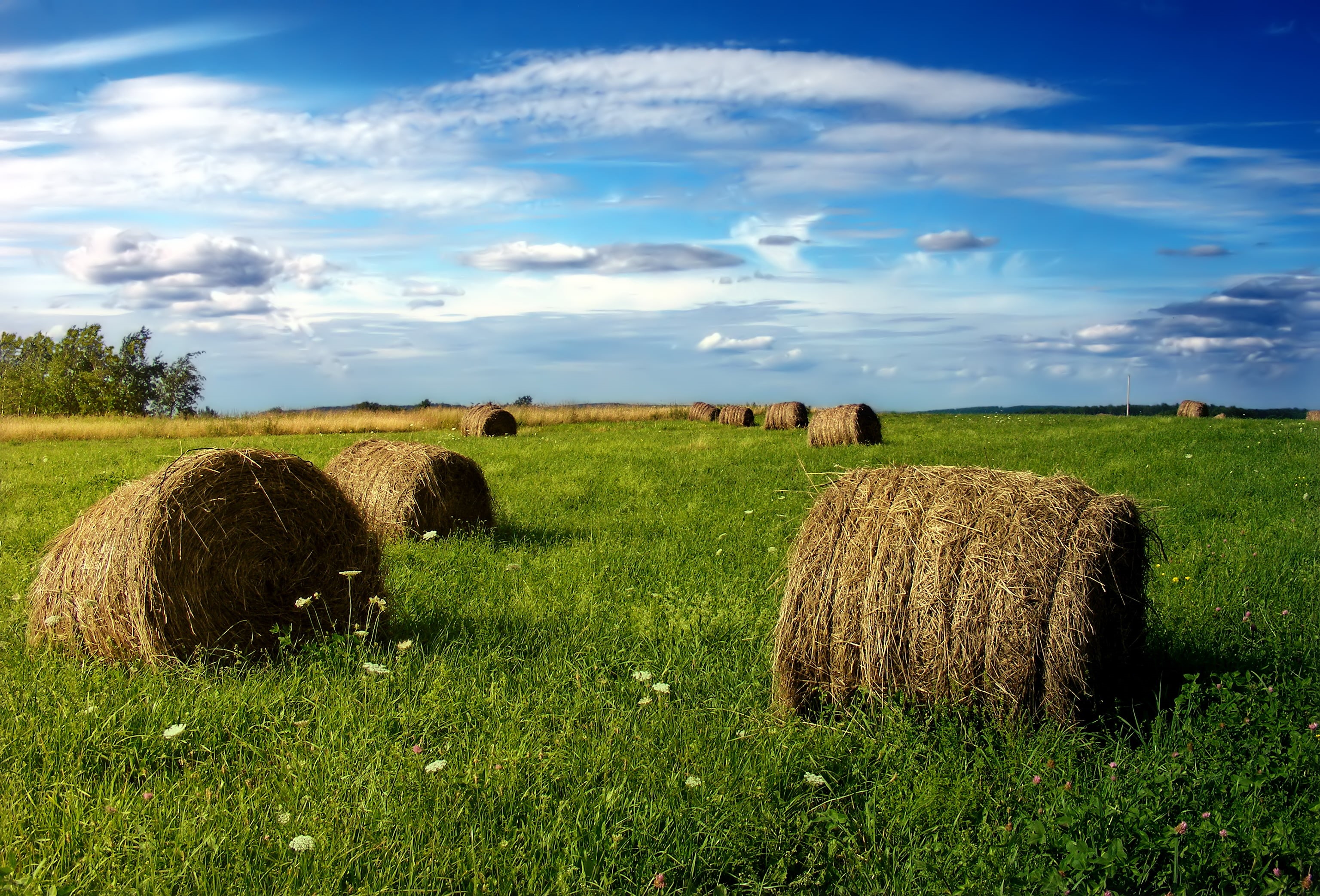 brown, bale, Baled, meadow, straw, 2K, Allegheny Plateau, Allegany Township  Pennsylvania, three, creative commons, Potter County, field, harvesting, nature, HD Wallpaper
