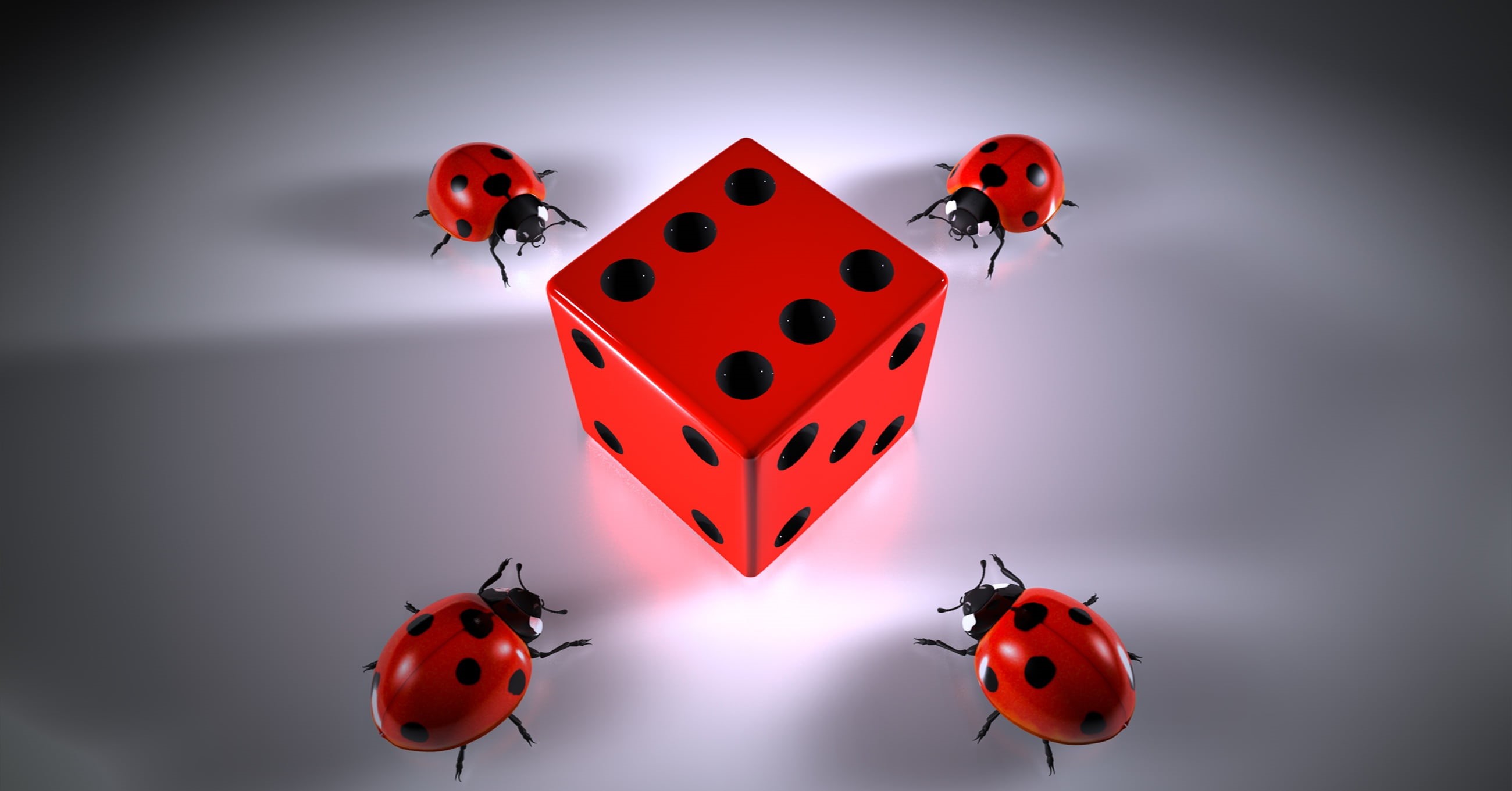 luck, one animal, dice, beetle, crawling, roll the dice, greeting card, flying, puzzles, aggression, emotion, indoors, no people, black, colored background, HD Wallpaper