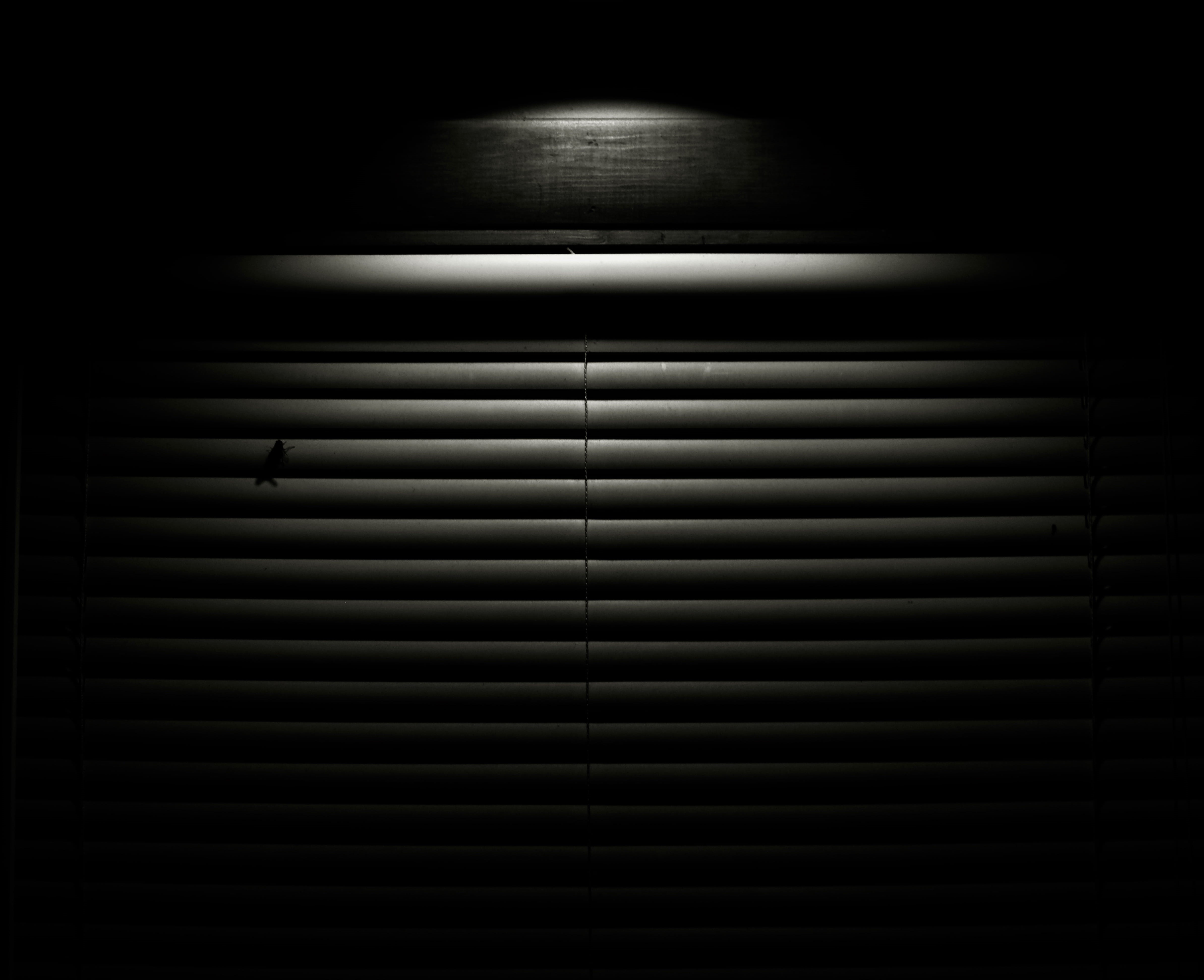 security, dark, look out, black and white, built structure, door, corrugated, pyrrhic, shutter, iron, light fixture, light, lighting equipment, metal, 4K, HD Wallpaper
