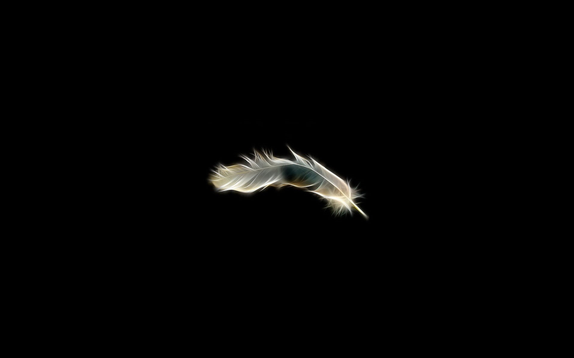illuminated, no people, flying, animal themes, studio shot, copy space, lightweight, night, animal, minimalism, one animal, feather, animal wildlife, animals in the wild, HD Wallpaper