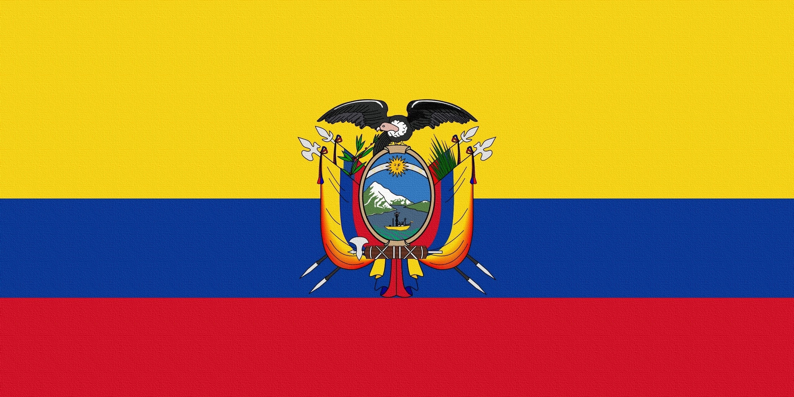 human body part, adult, authority, 2K, red, ecuador, sign, human arm, blue, men, males, europe, coat Of Arms, herb, symbol, flag, history, indoors, patriotism, HD Wallpaper