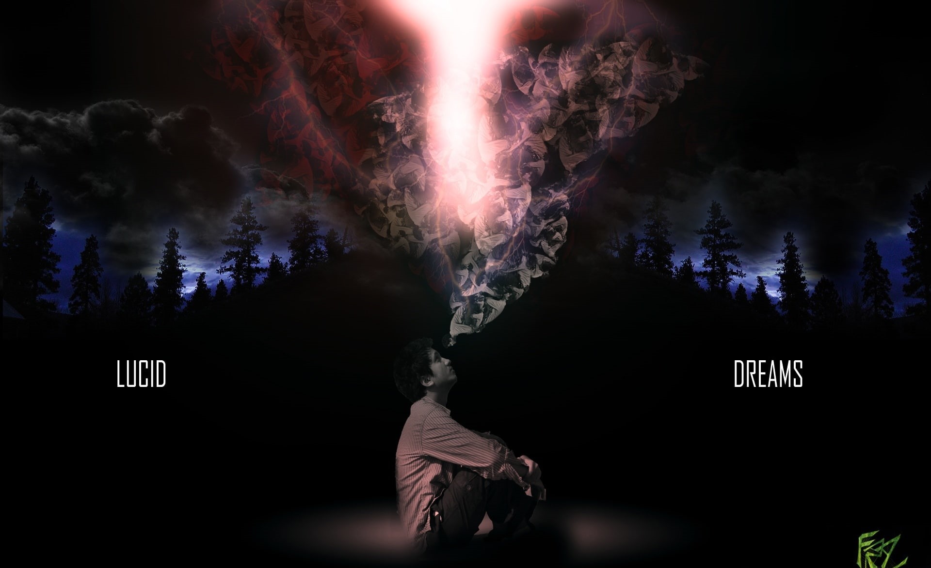 communication, adult, digital art, nature, dark, firework display, Aero, firework, motion, real people, tree, night, purple, Dream, outdoors, smoke - physical structure, HD Wallpaper