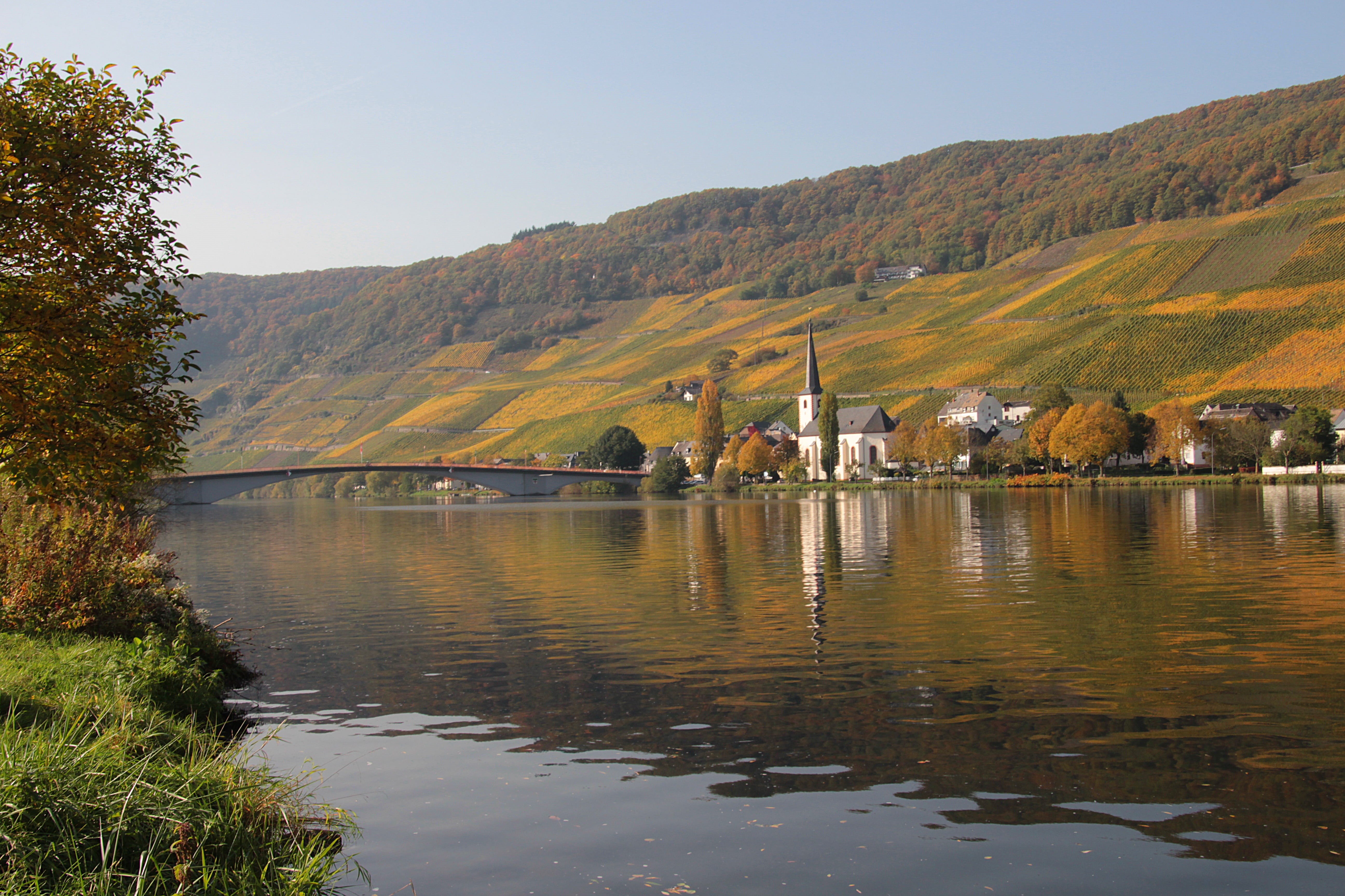 no people, piesport, mosel, plant, large, reflection, wine village, nature, tourism, water, concrete, outdoors, recovery, brown, autumn colours, white, HD Wallpaper