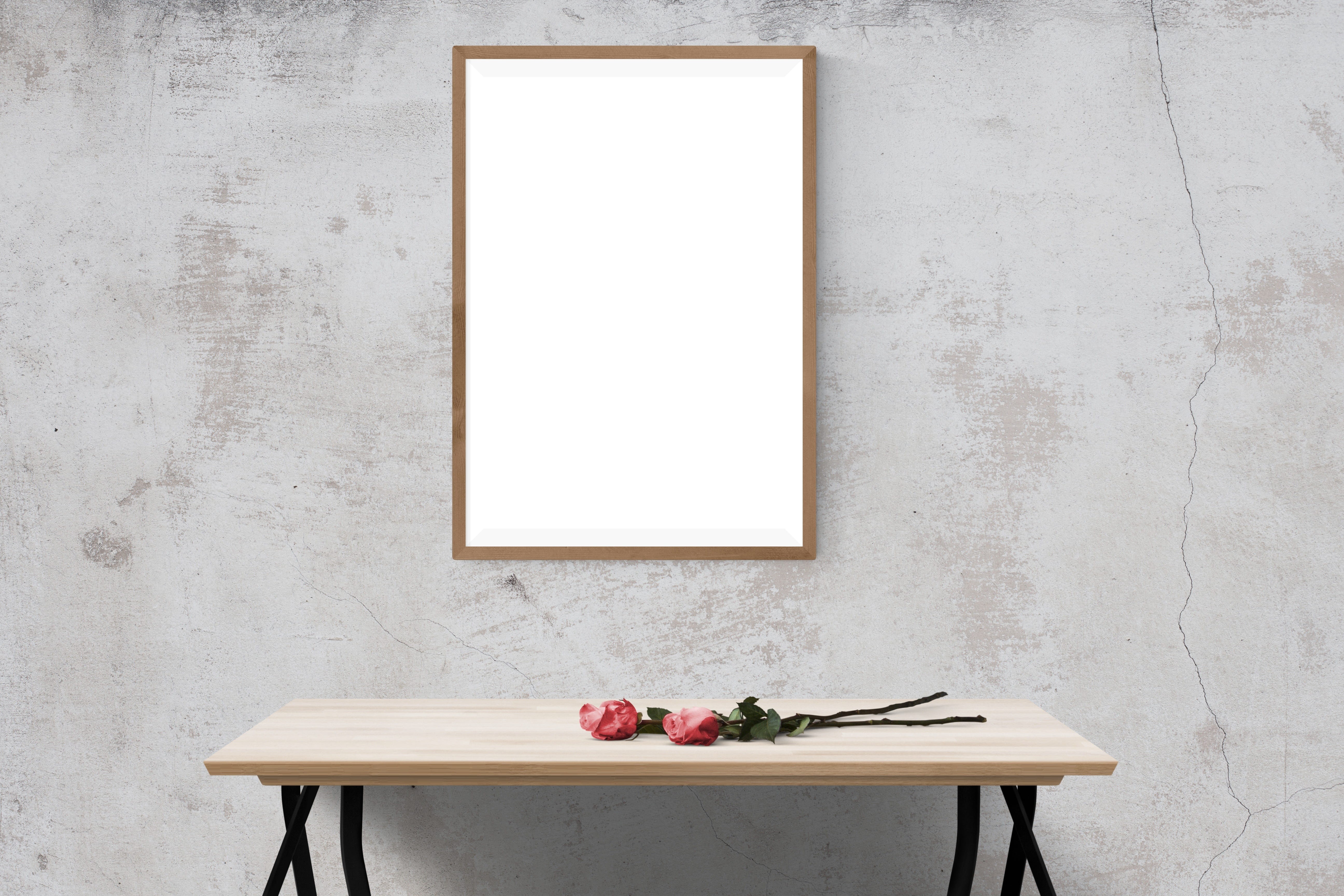 plant, red, white color, poster, wooden, empty, copy space, photo, no people, wood - material, portrait, decor, chair, mockup, stock, indoors, interior, HD Wallpaper