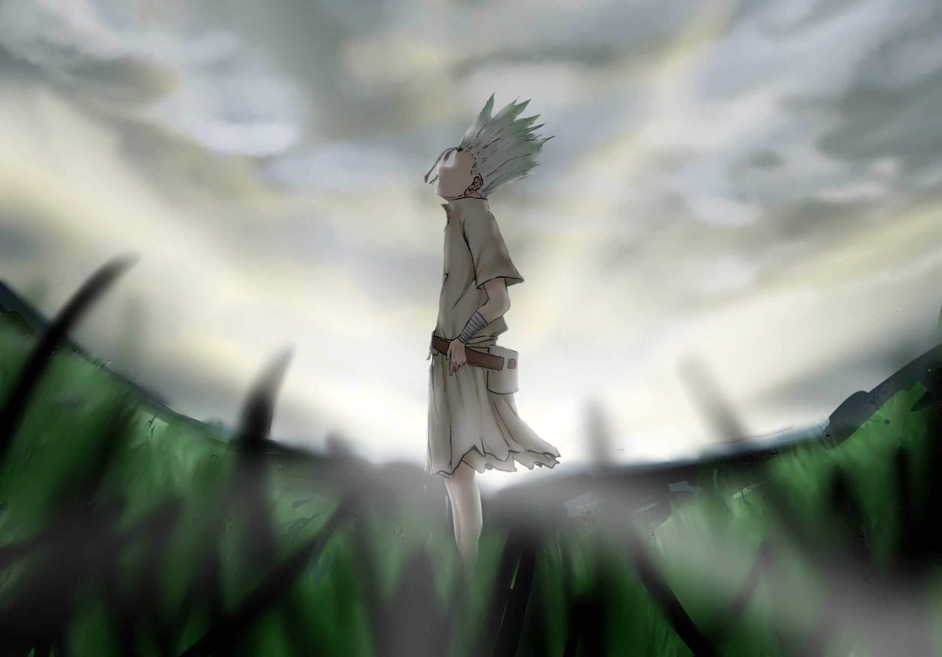 Senku Ishigami, Dr. Stone, Anime, 1080P, HD Wallpaper