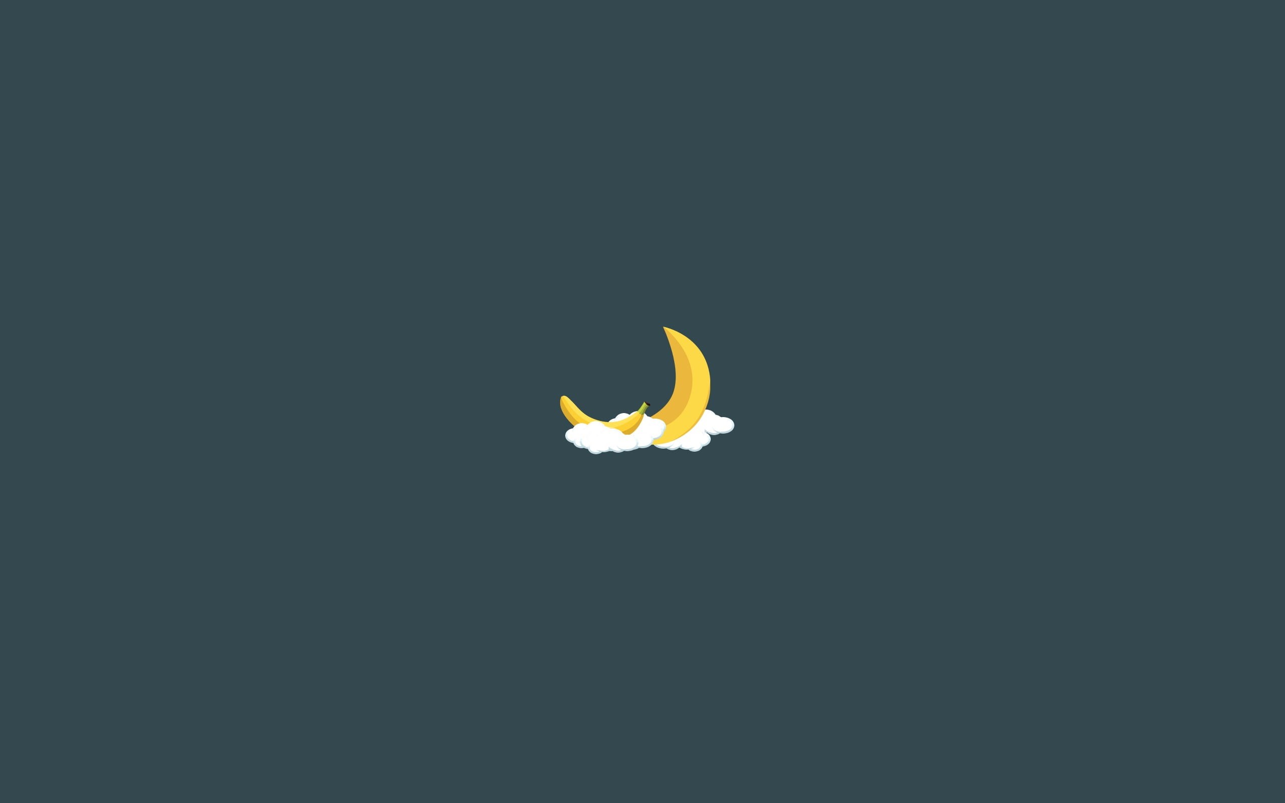 food, Moon, burning, flower head, indoors, animal, fire, flower, studio shot, moon phases, bananas, food and drink, petal, beauty in nature, close-up, vulnerability, HD Wallpaper