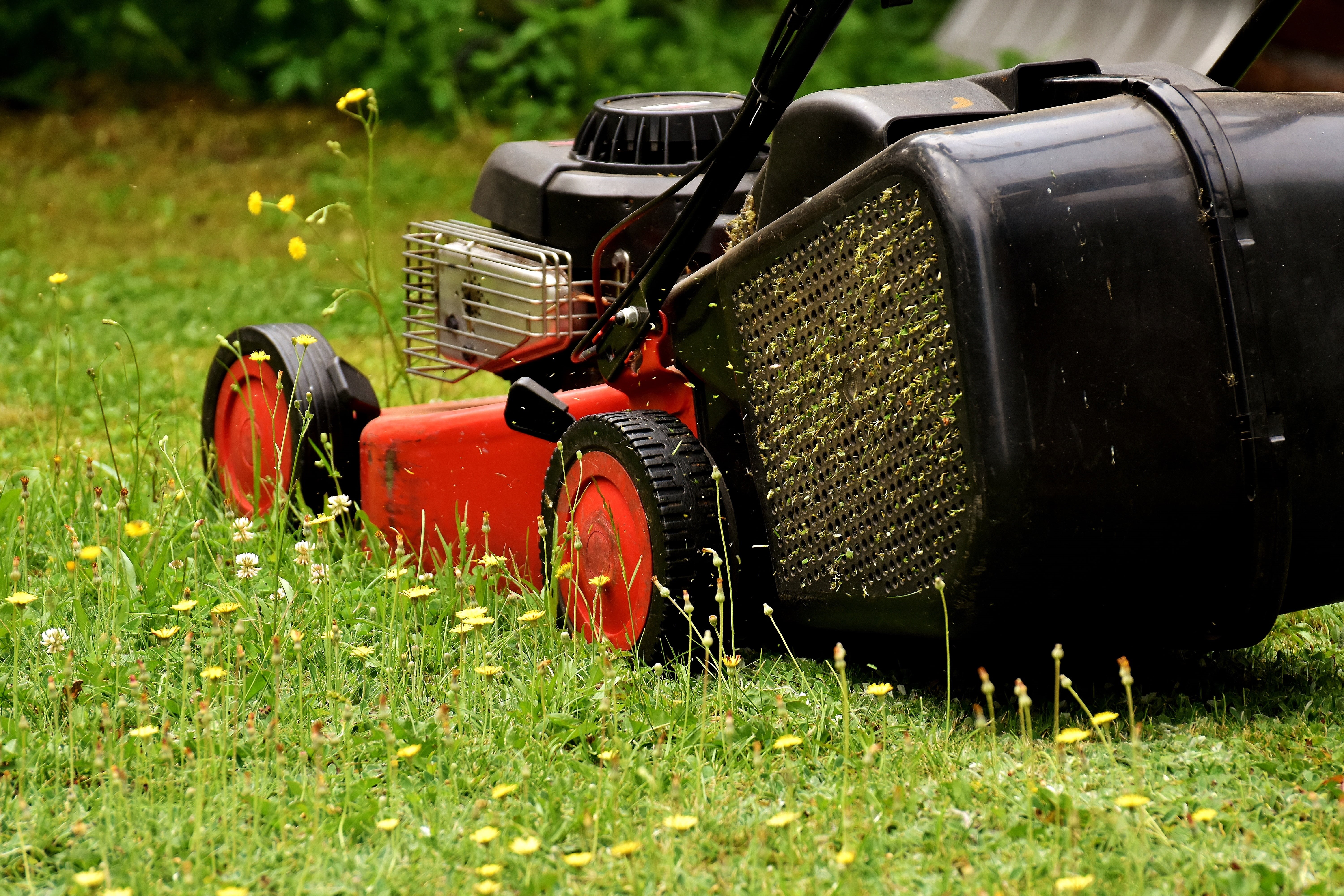 gardening, land, tractor, equipment, mow, meadow, beauty in nature, wheel, grass, cut grass, garden, blades of grass, field, black, grass surface, mode of transportation, HD Wallpaper