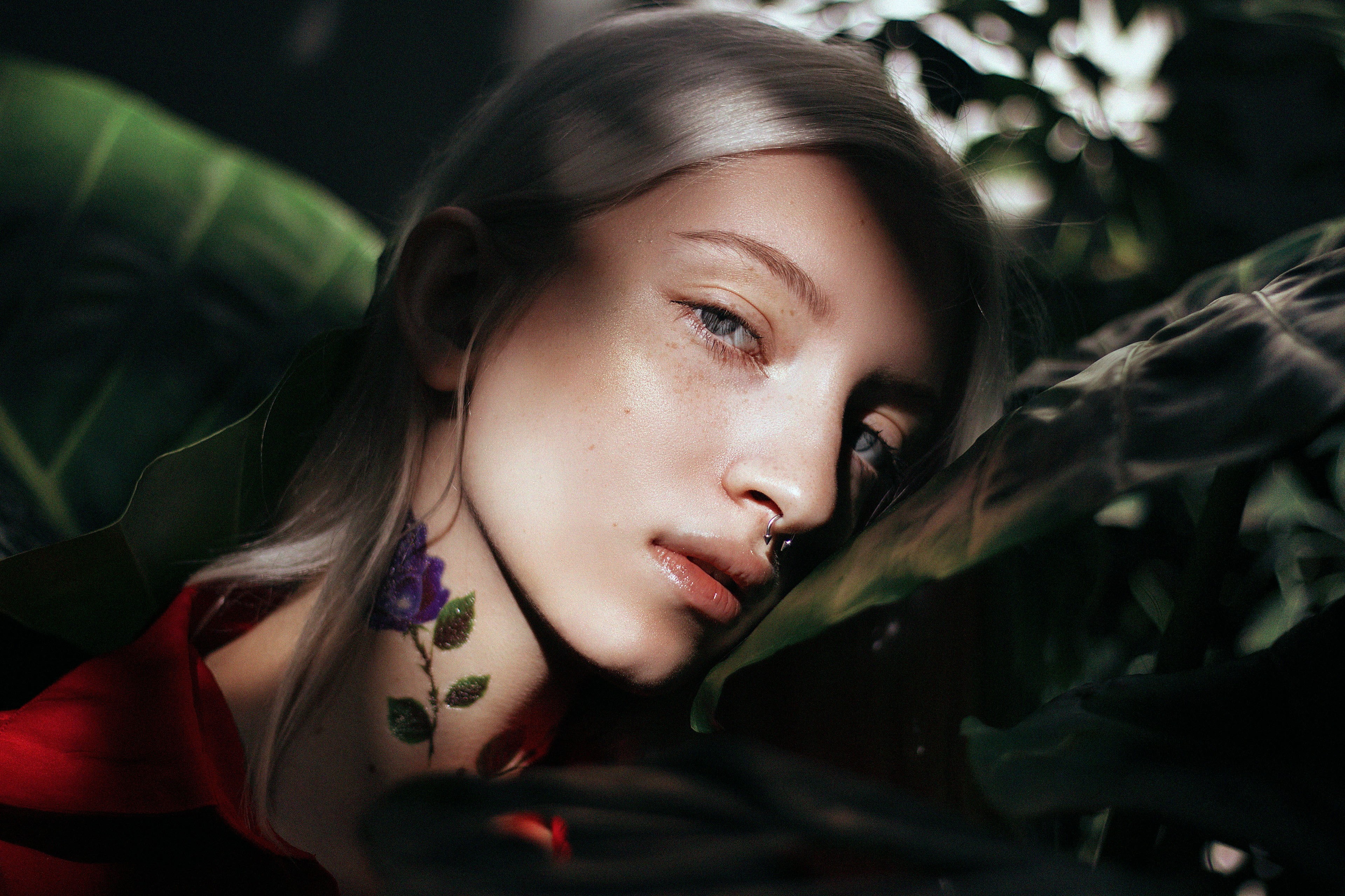 portrait, women, model, 4K, face, gray eyes, women outdoors, bokeh, plants, pierced septum, leaves, silver hair, looking at viewer, HD Wallpaper