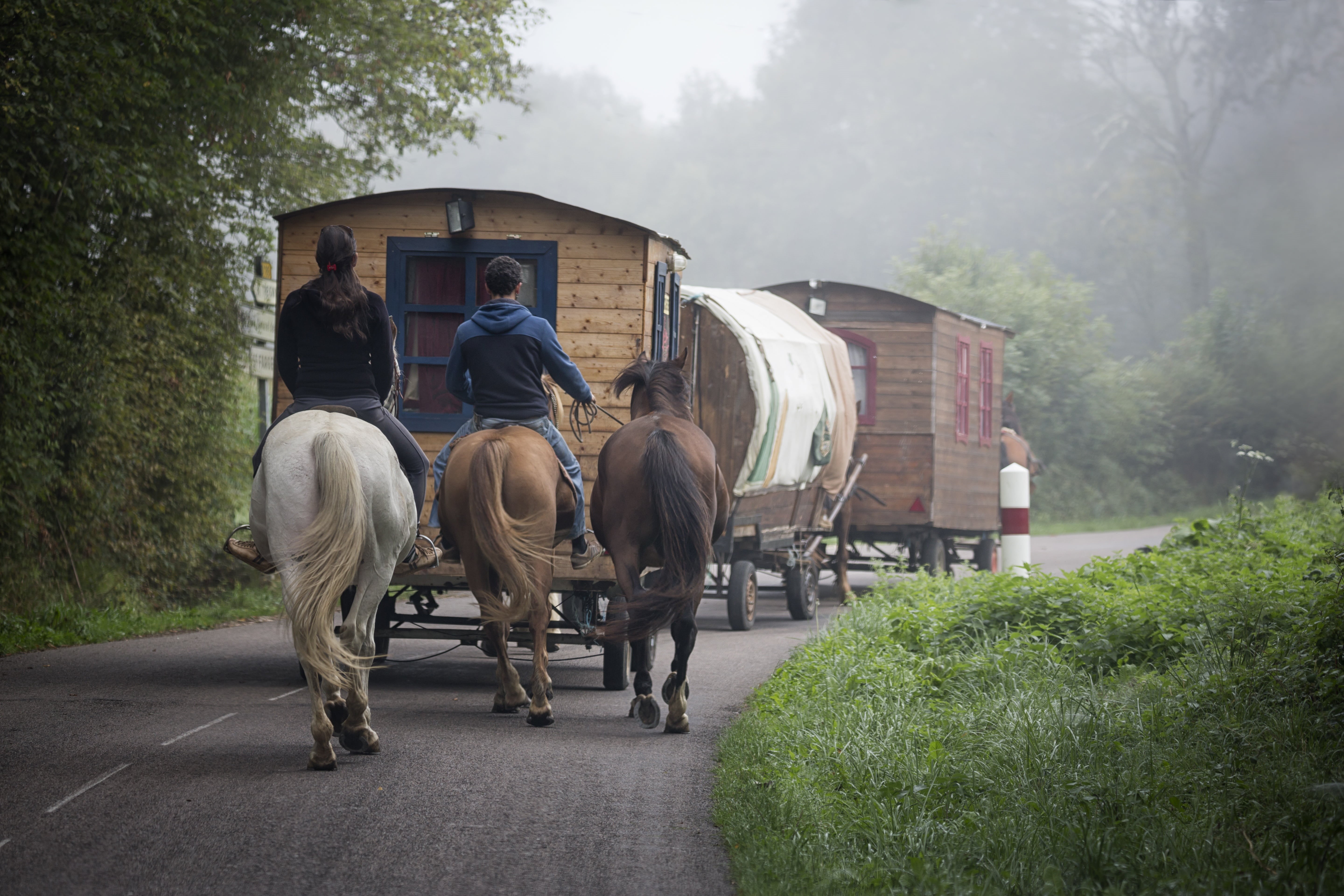 horsedrawn, hair, vacences, pets, bohemia, 5K, group of animals, domestic animals, animal wildlife, horse Cart, mammal, gypsy, holiday, horses, travel, HD Wallpaper