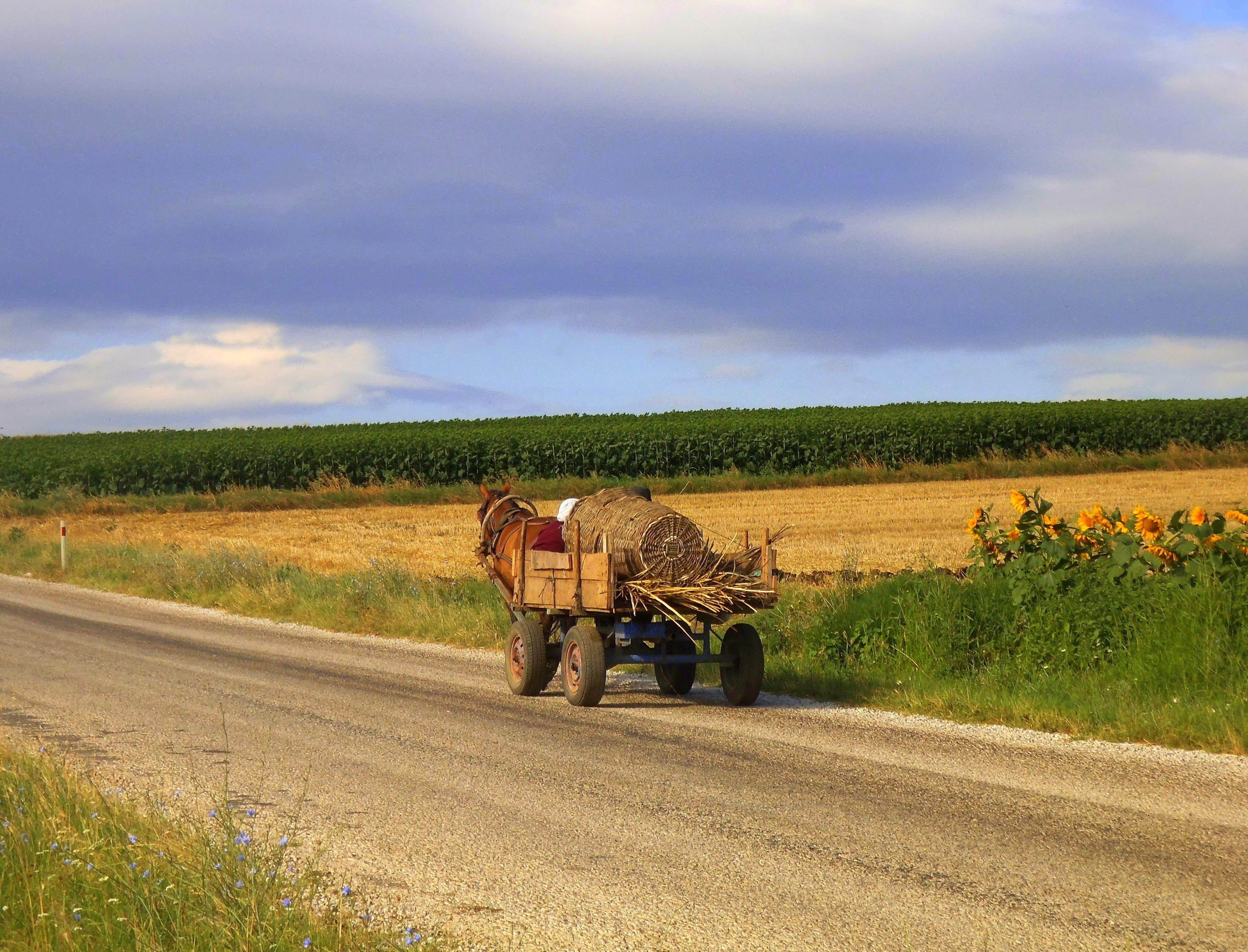 landscape, occupation, animal, rural scene, village, farm, silent, cloud - sky, environment, gypsy, vertebrate, sky, outdoors, nature, transportation, animal themes, HD Wallpaper