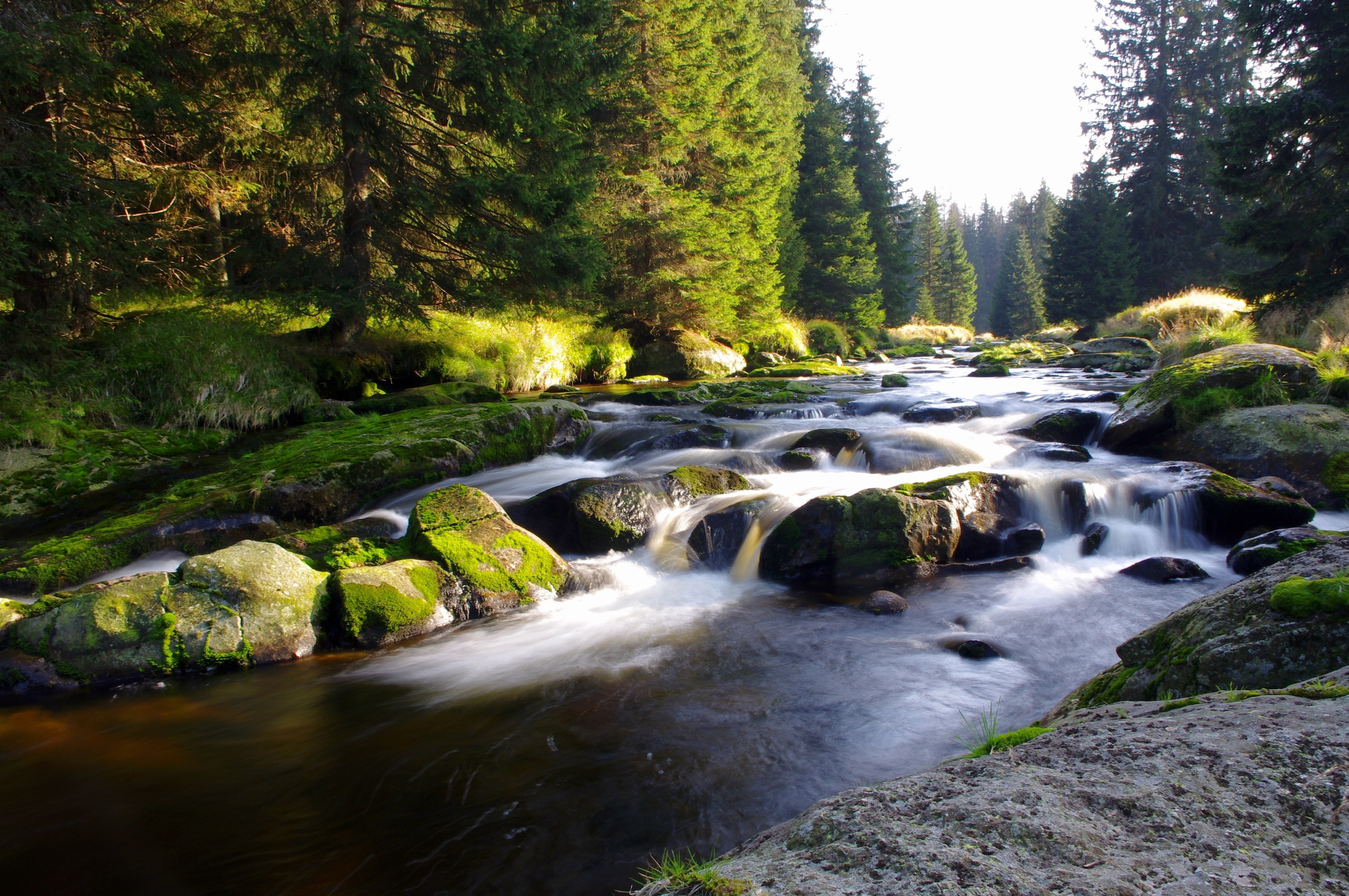 flowing water, Czech Republic, long exposure, rainforest, rock, Sumava, motion, stream - flowing water, tree, outdoors, Bohemia, leafed, power in nature, HD Wallpaper