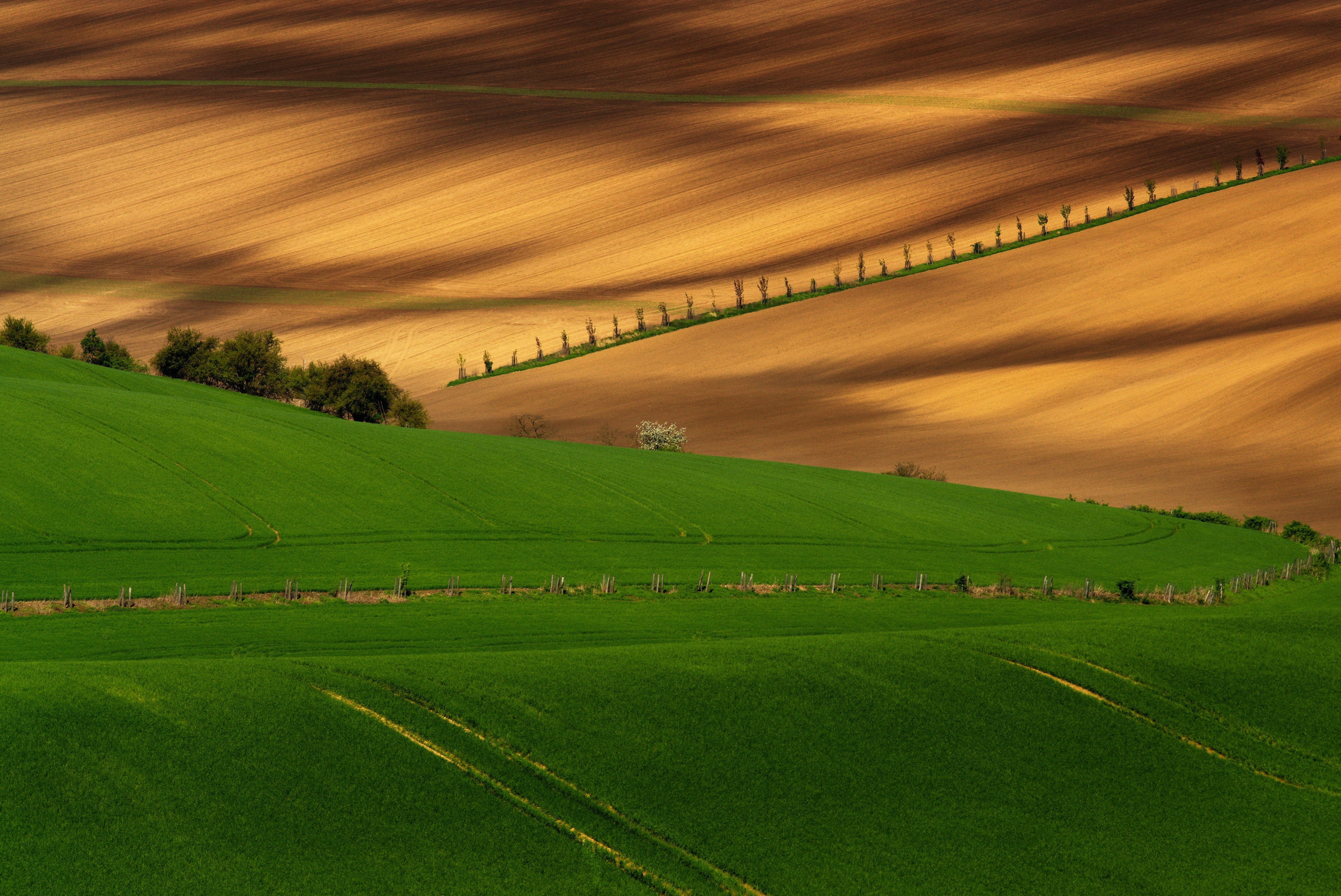 5K, magic, tranquil scene, nature, czech republic, sky, moravia, waves, south moravia, no people, rolling landscape, land, landscape, road, beauty in nature, HD Wallpaper