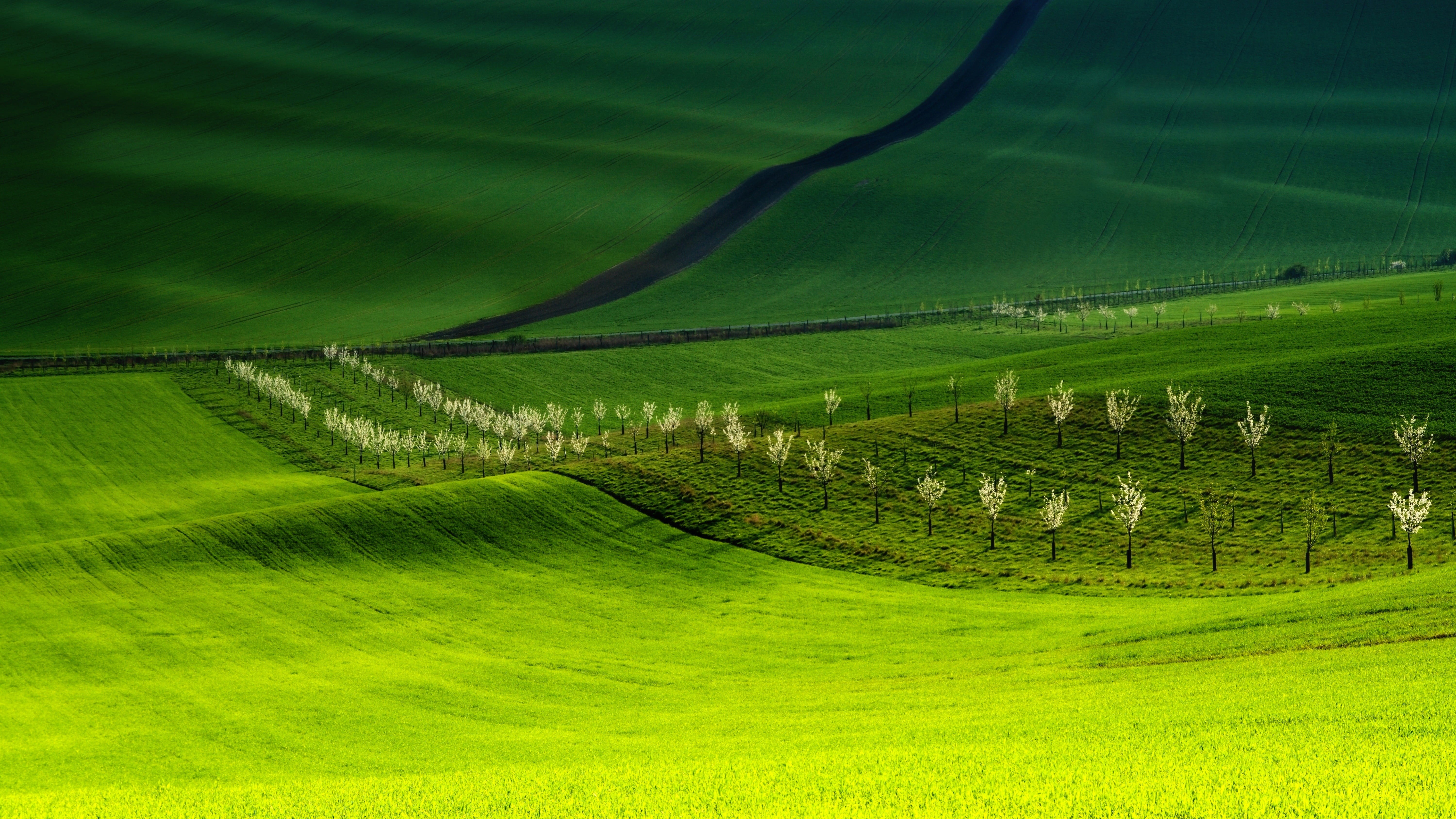 tranquility, czech republic, plantation, biozones, bohemia, 5K, czechia, environment, grass, landscape, south moravia, scenics - nature, plant, green, HD Wallpaper