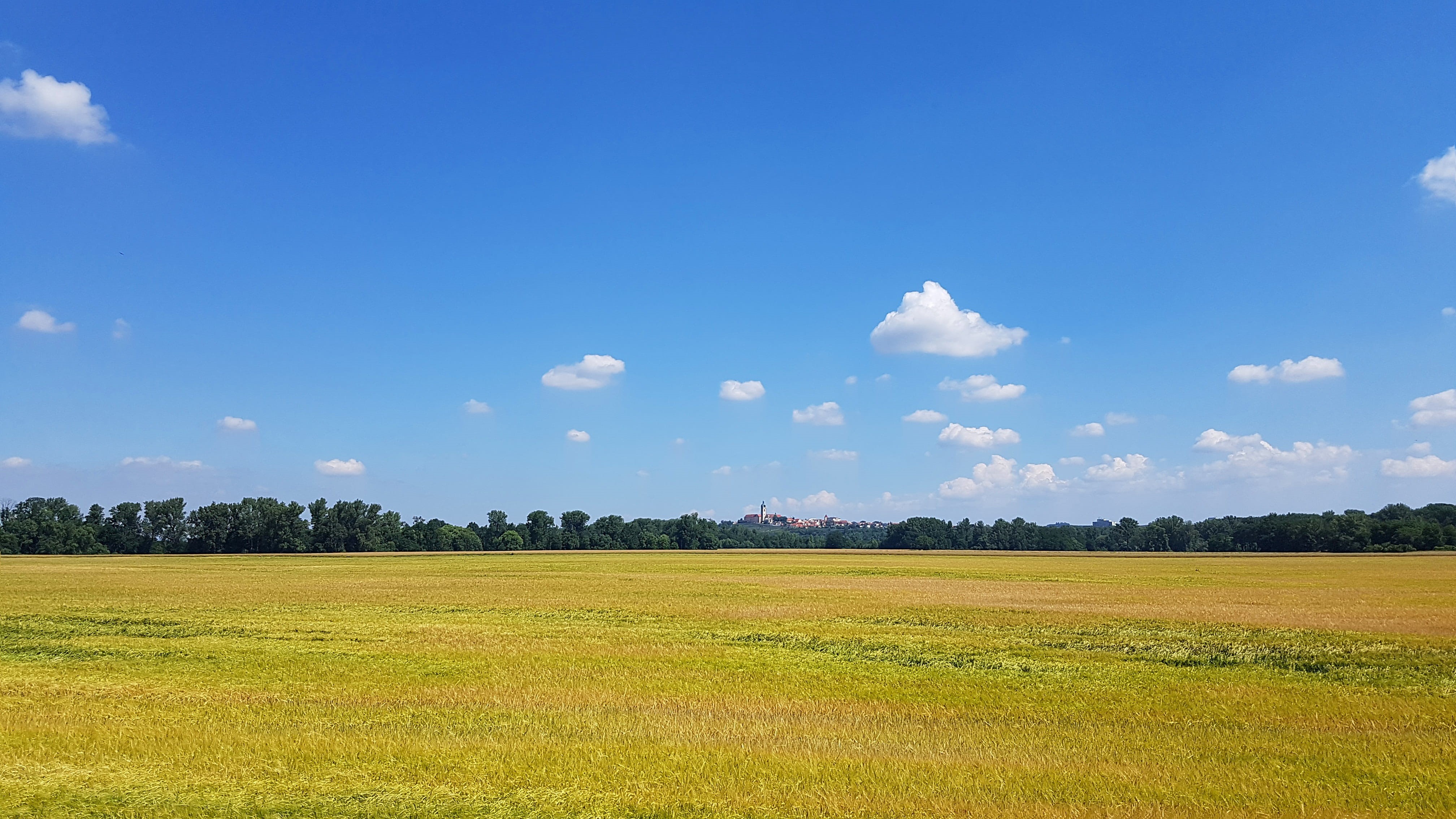 land, sky, day, outdoors, green color, tranquility, tranquil scene, no people, tree, cloud - sky, environment, non-urban scene, agriculture, plant, grass, HD Wallpaper