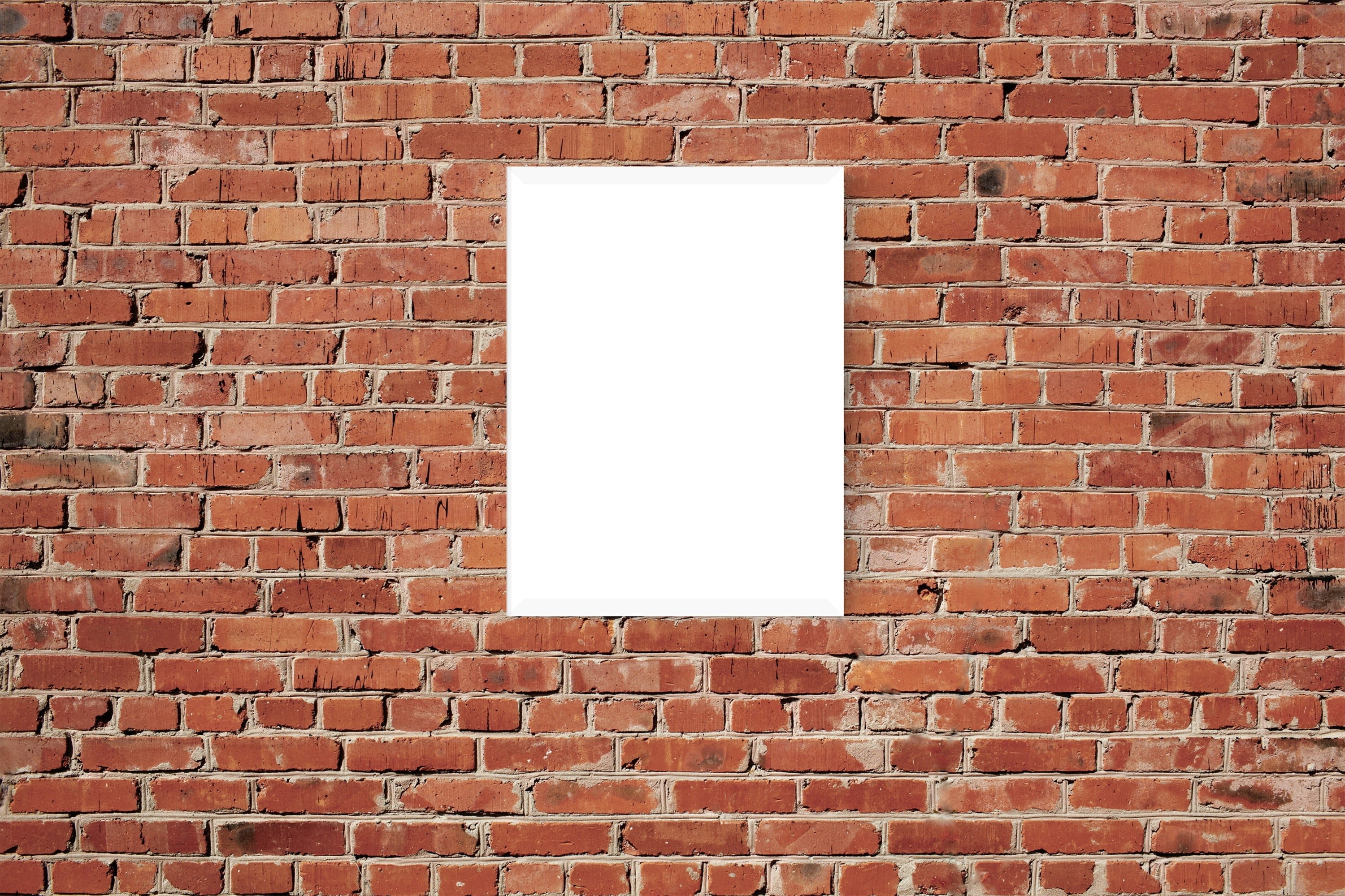 wall - building feature, sign, wall, architecture, red, brick wall, message, 2K, canvas, building exterior, built structure, copy space, placard, mock, HD Wallpaper