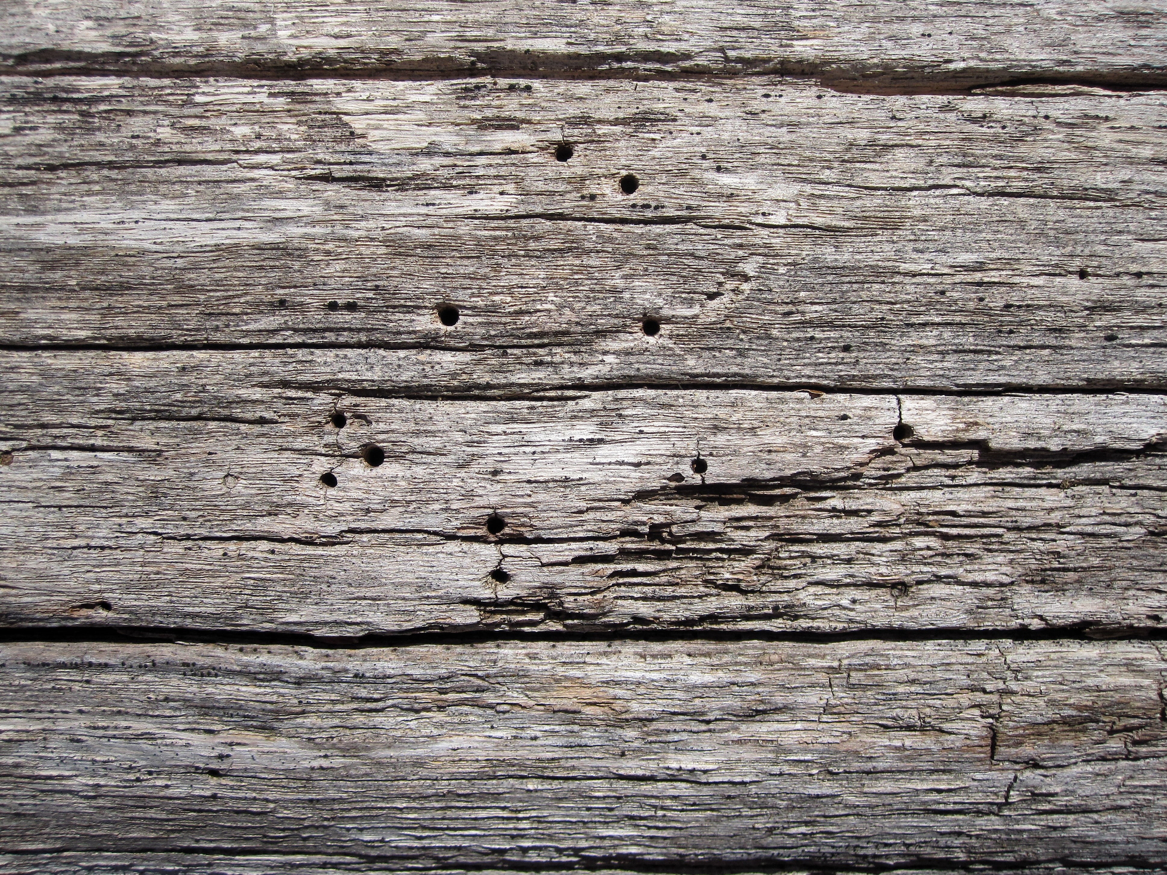 ragged, old, wall, full frame, outdoors, textured effect, panel, pattern, surface, grunge, texture, macro, backgrounds, damaged, plank, board, worn, no people, HD Wallpaper