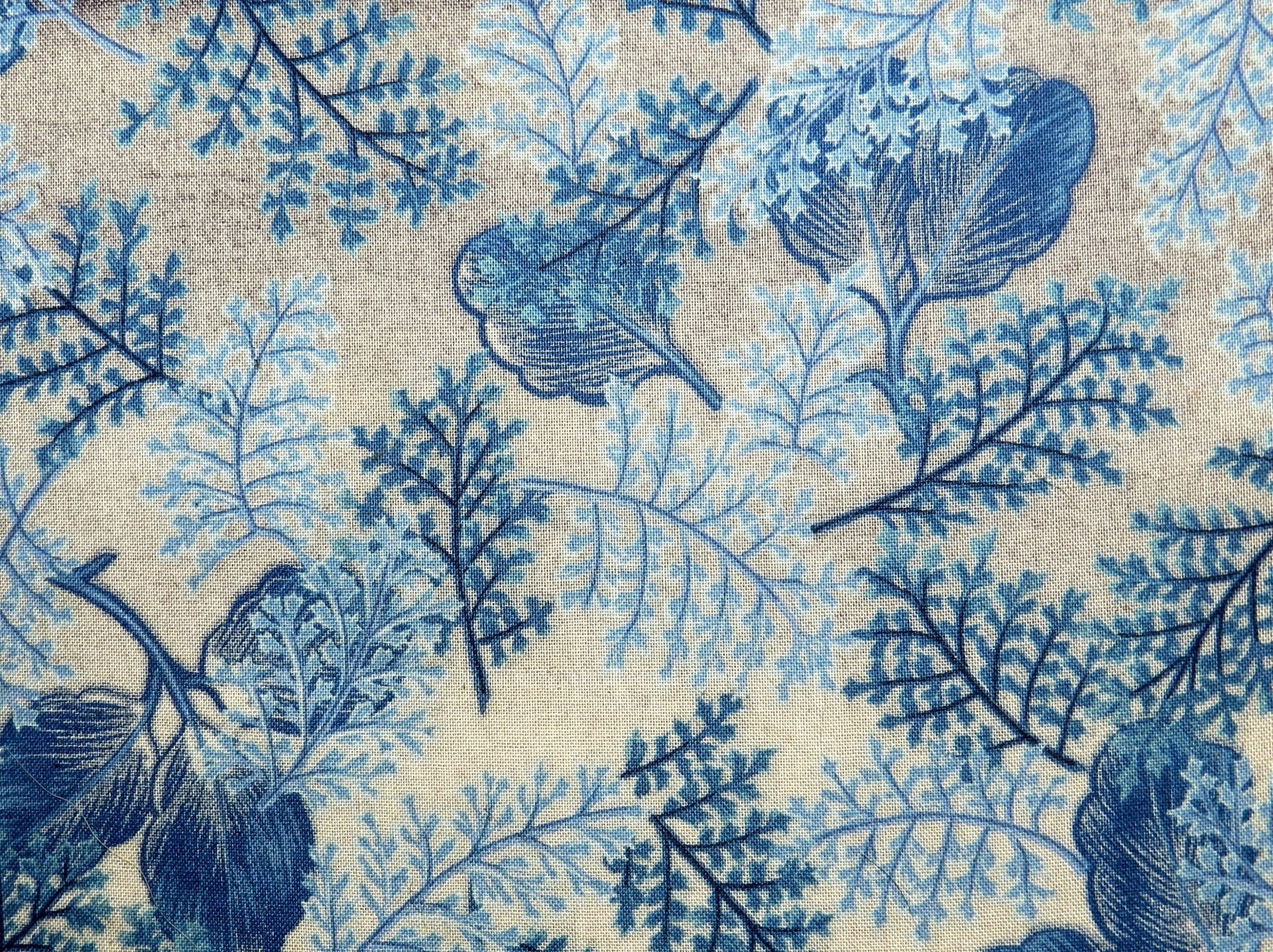 nature, scroll, drawing, close-up, blossom, architecture, elegance, vibrant, full frame, botany, history, card, flora, blue, 1080P, delicate, greeting, HD Wallpaper