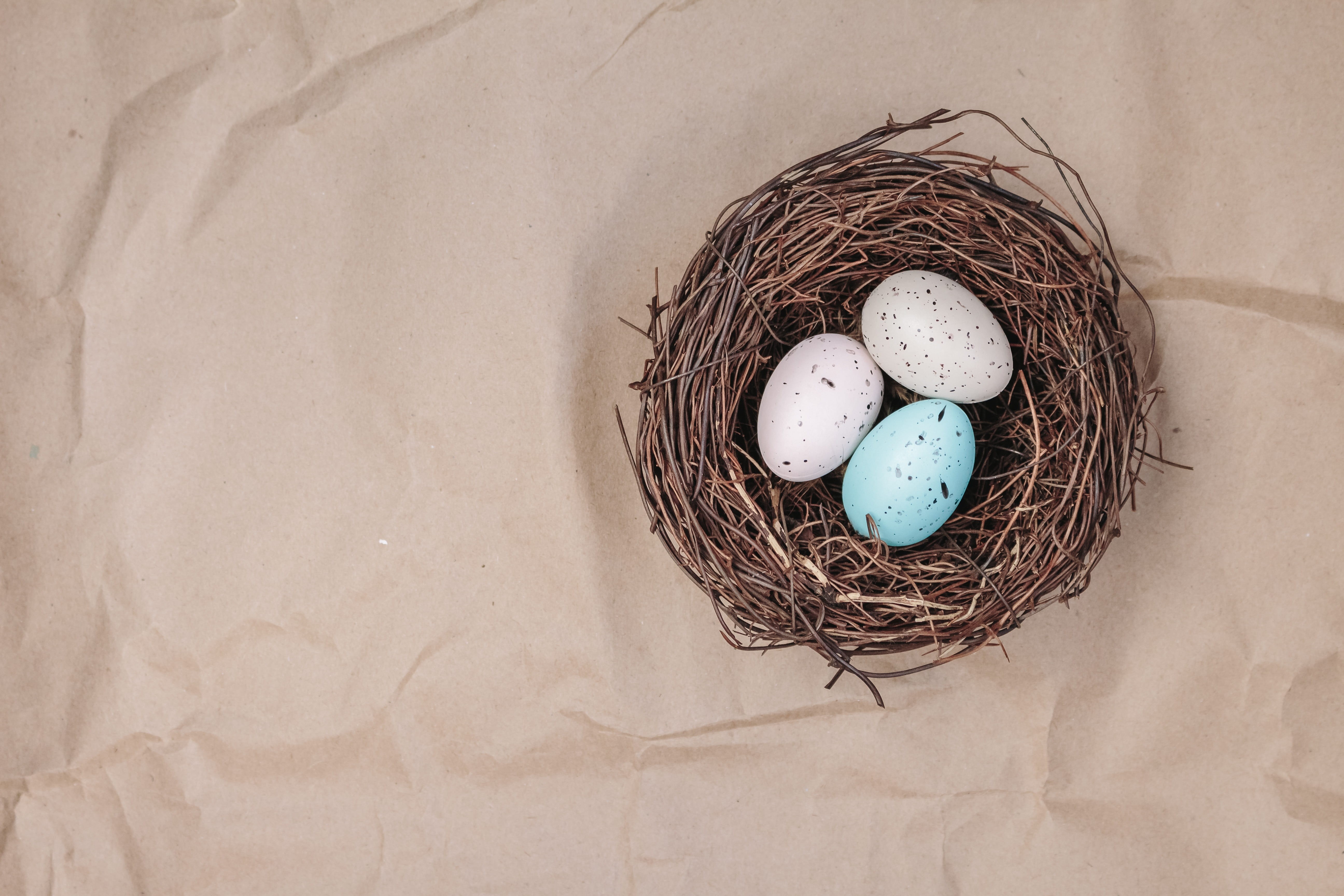 security, animal nest, paper, high angle view, wrapping paper, holiday, beginnings, egg, bird, vulnerability, white, animal egg, no people, 5K, fragility, HD Wallpaper