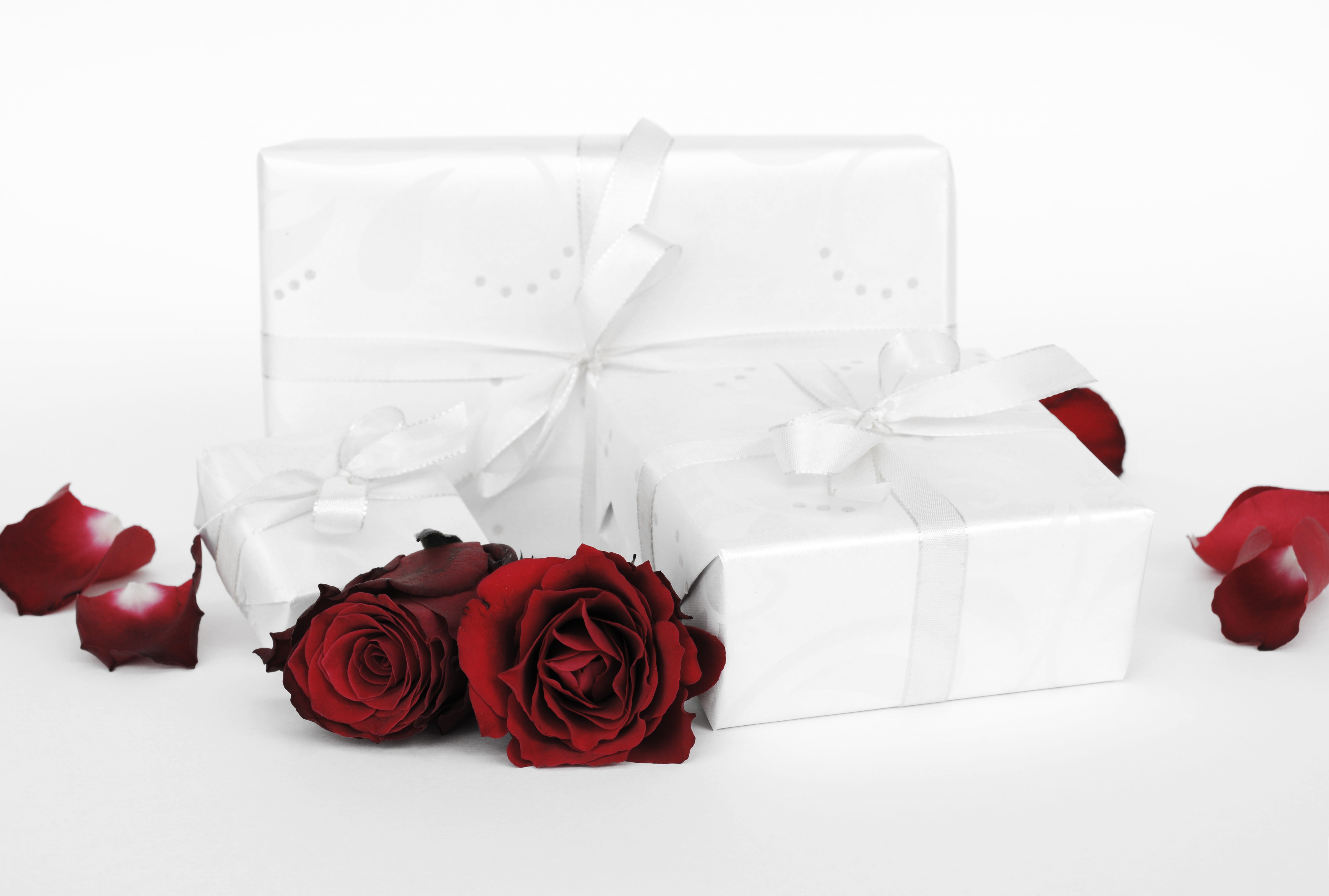 flower head, rose, wrapped, relationship, ribbon - sewing item, rose - flower, nature, loop, boxes, romantic, three, gift, wrapping paper, white, red rose, HD Wallpaper