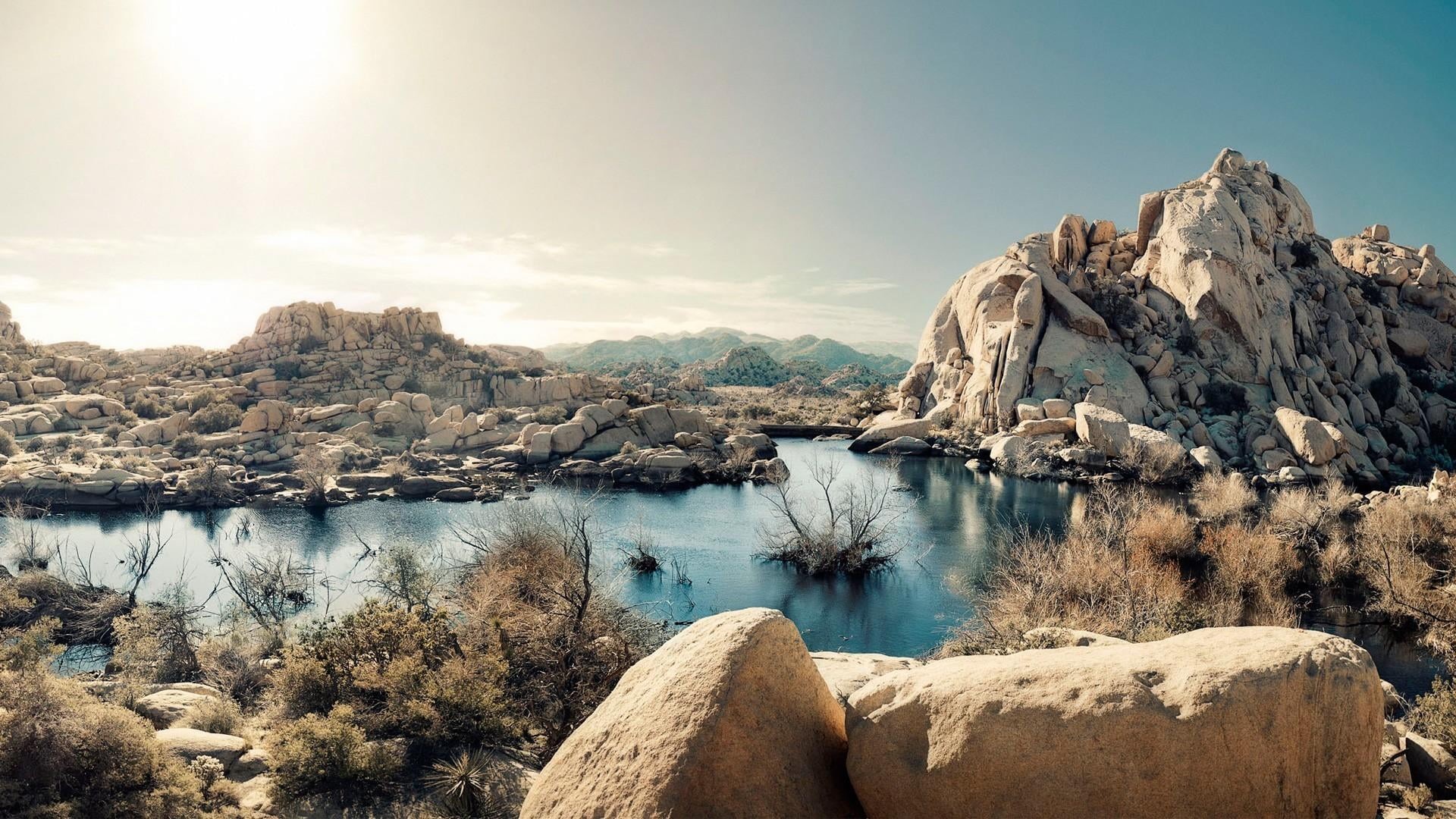 tranquility, solid, california, rock, joshua tree national park, rock - object, water, outdoors, grass, rocky, beauty in nature, mountain, rock formation, HD Wallpaper