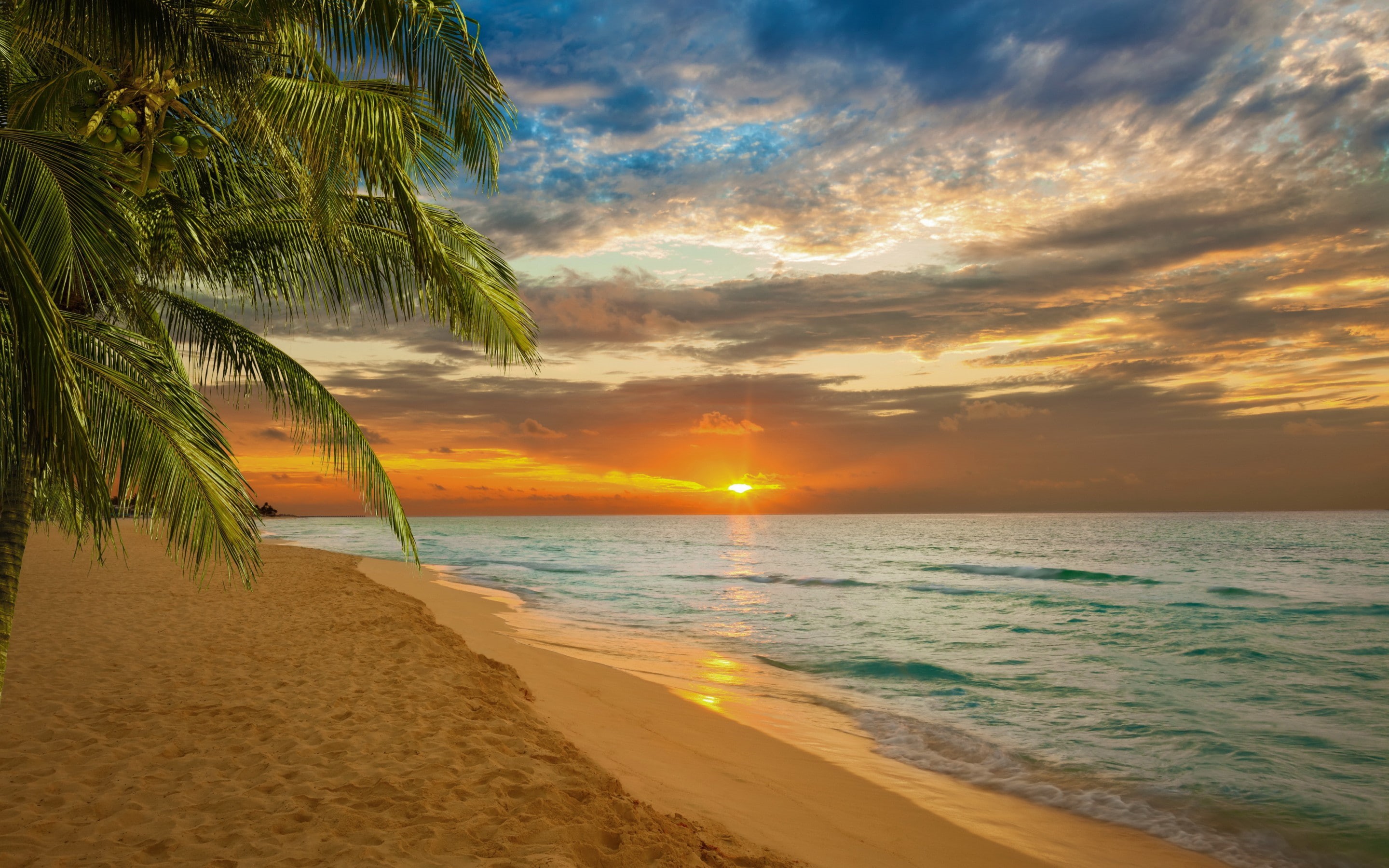 Sunset, shore, sands, hd, s, 2K, beach, Nature s, Sea, white, HD Wallpaper