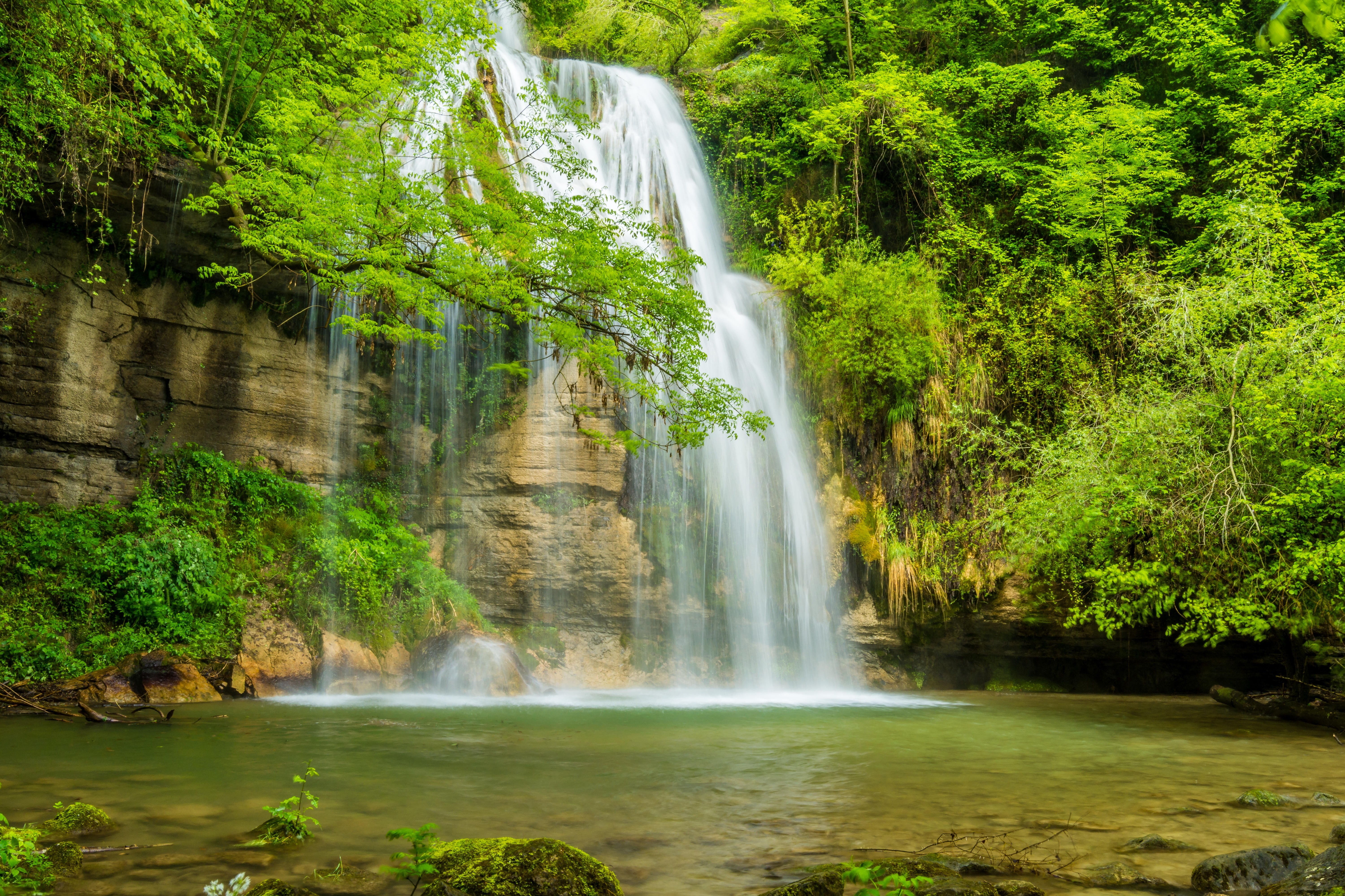 environment, forest, rock, falling water, power in nature, nature, water, non-urban scene, no people, tree, trees, land, 5K, rocks, beauty in nature, river, HD Wallpaper