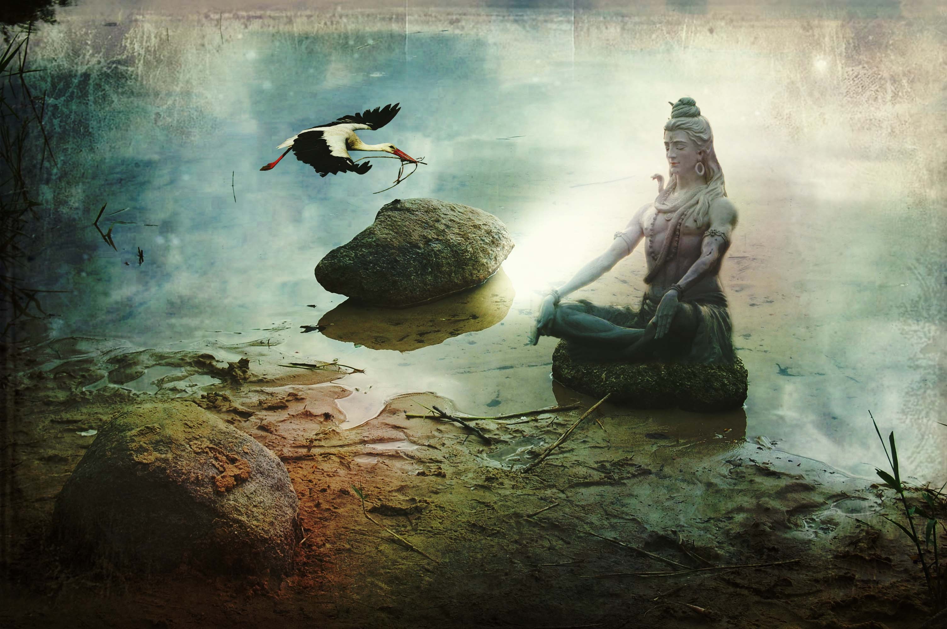 Shiv, lord, 2K, HD Wallpaper