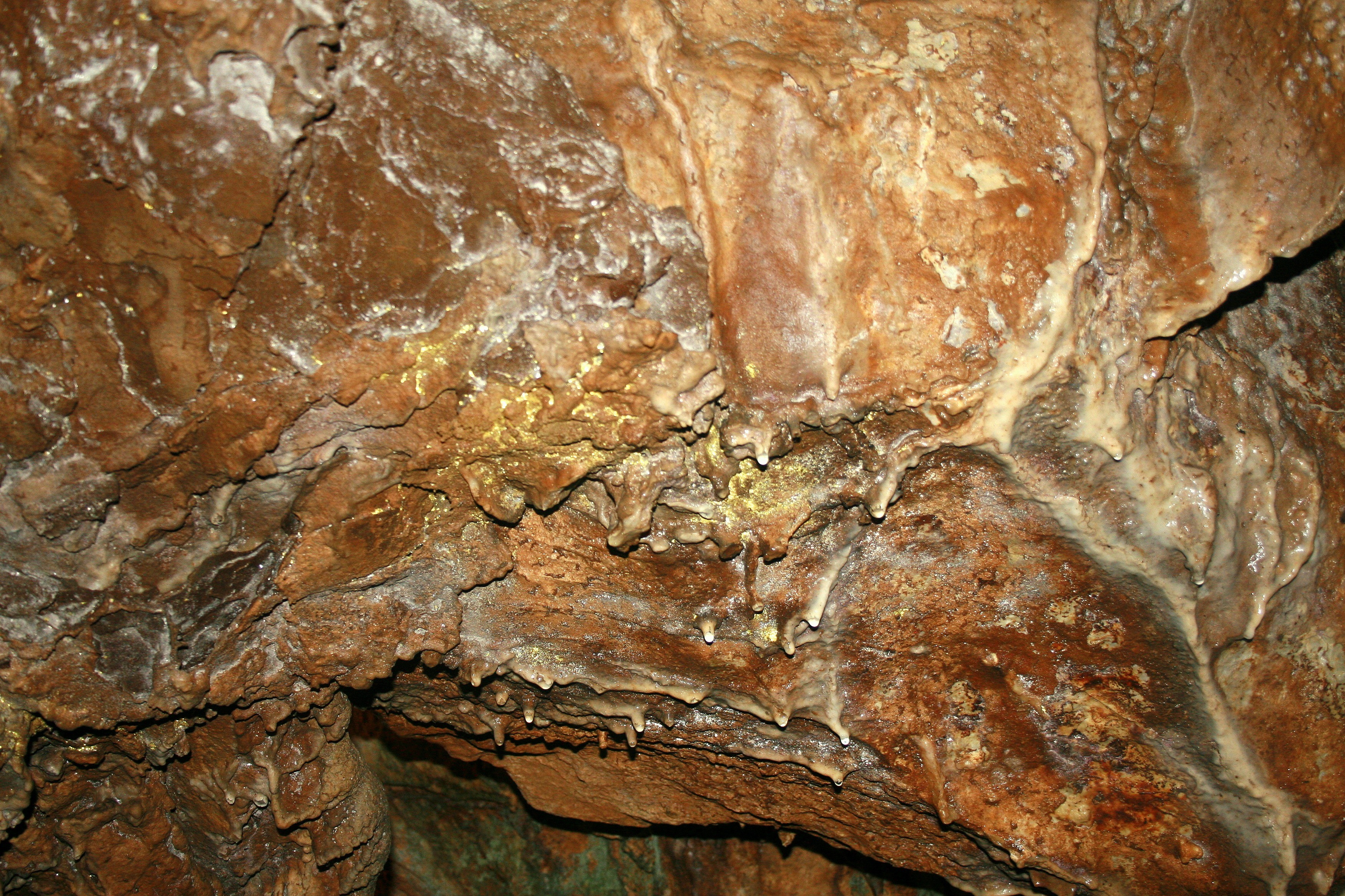solid, plant, tree trunk, caverns, cave ceiling, pattern, bark, cave, no people, textured effect, speleology, mineral, 2K, full frame, tree, eroded, nature, HD Wallpaper