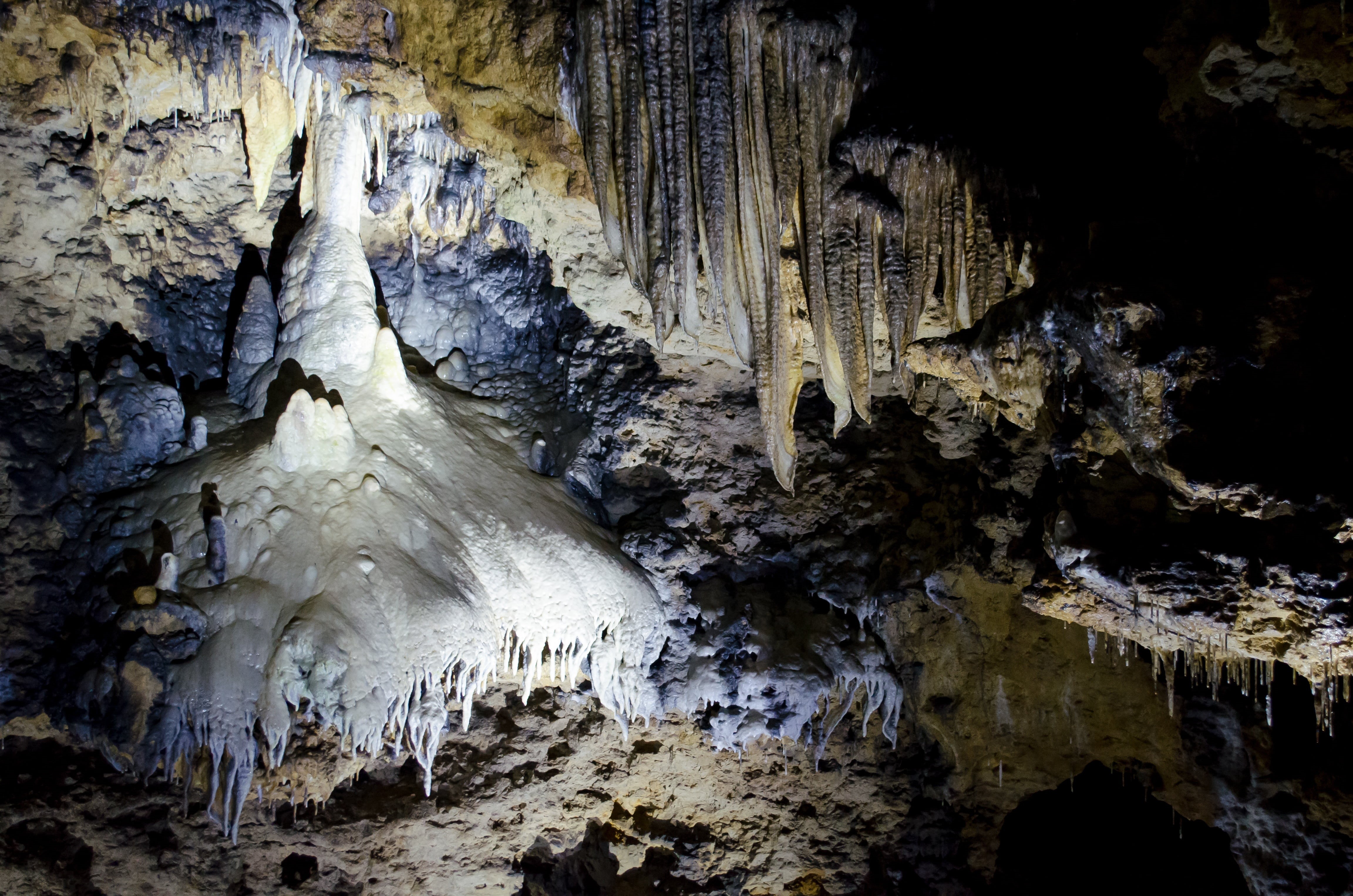stalactite, sophie cave, bark, alie, physical geography, white, stalagtit, solid, no people, pattern, geology, outdoors, natural pattern, swiss francs, HD Wallpaper