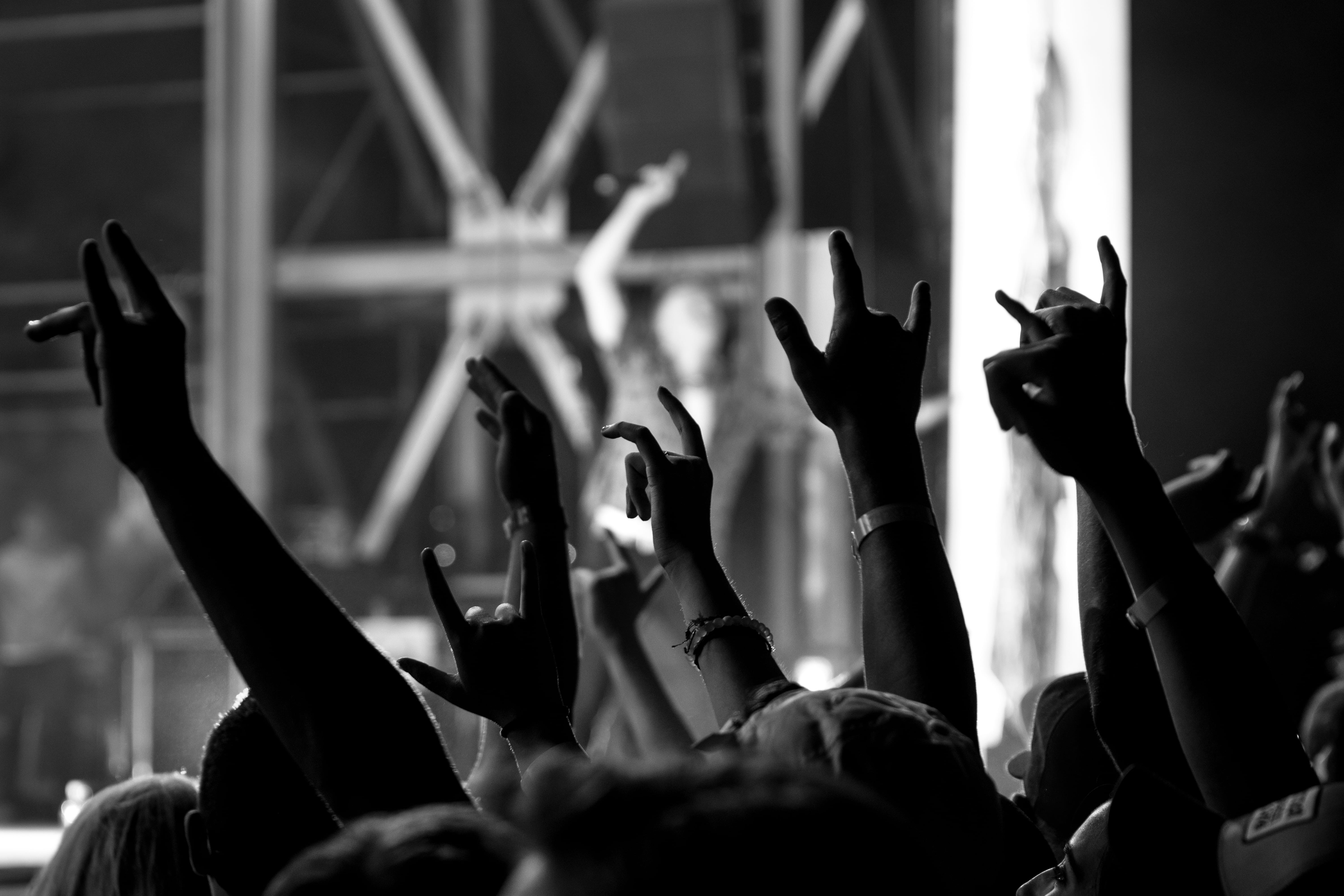 music, human arm, we salute you, cheering, enjoyment, event, tree, human limb, crowd, excitement, rock n roll, arms raised, hand raised, group of people, HD Wallpaper