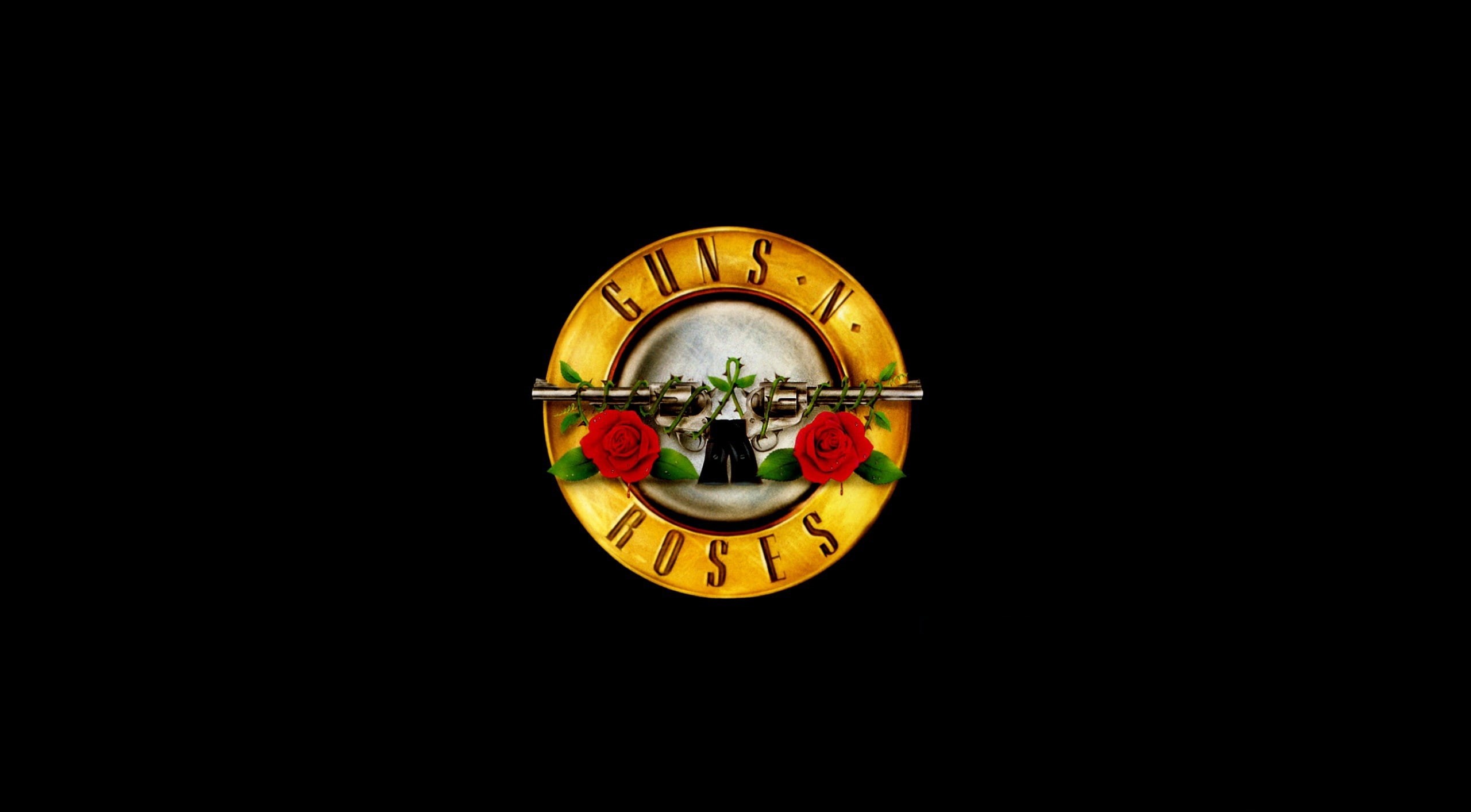 black background, studio shot, accuracy, circle, Music, cut out, n, hd, copy space, fruit, indoors, guns, close-up, still life, lighting equipment, equipment, HD Wallpaper