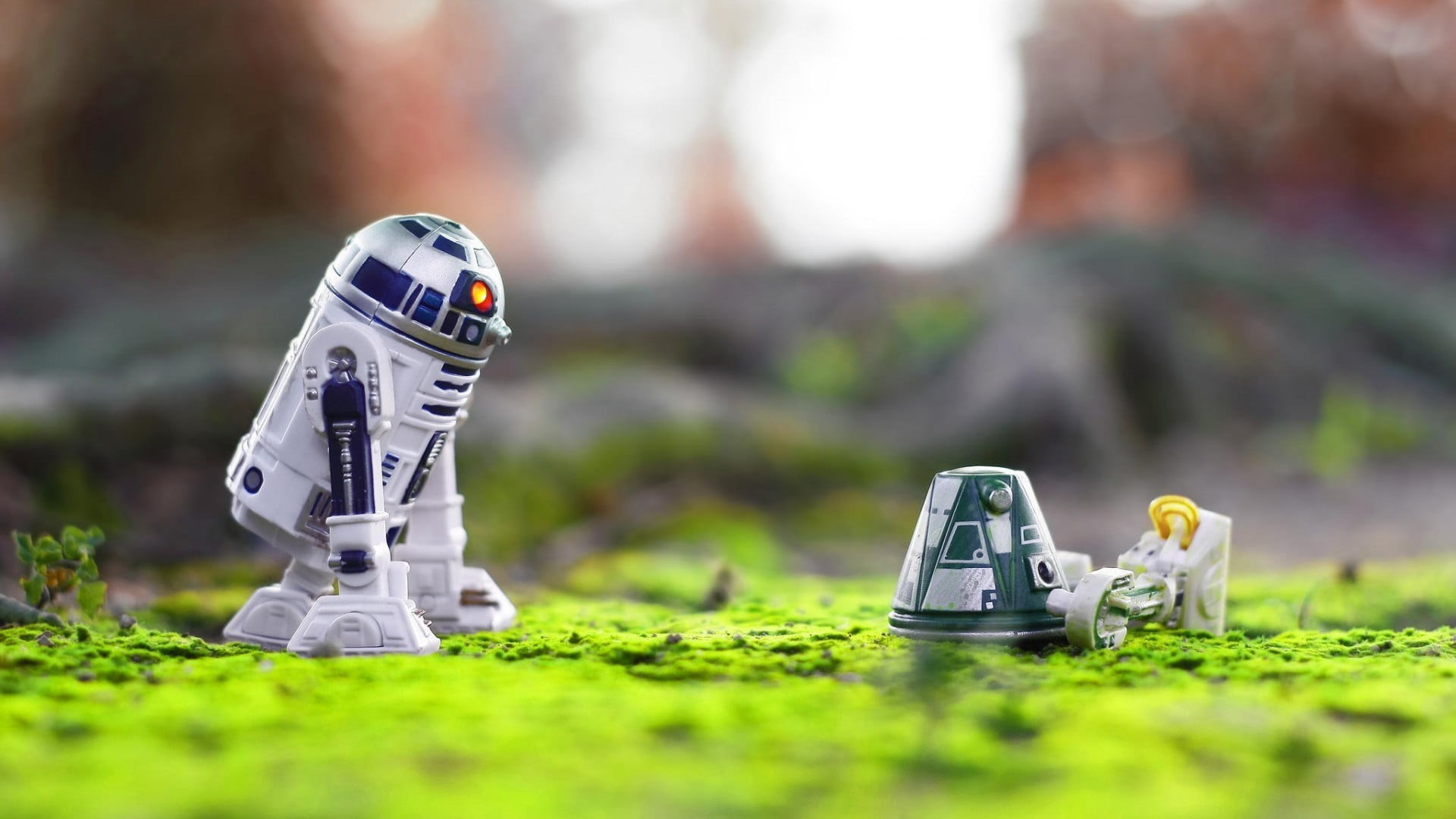 plant, nature, figurine, Star Wars, human representation, robot, toy, 1080P, futuristic, astronaut, toys, no people, R2-D2, focus on foreground, technology, HD Wallpaper