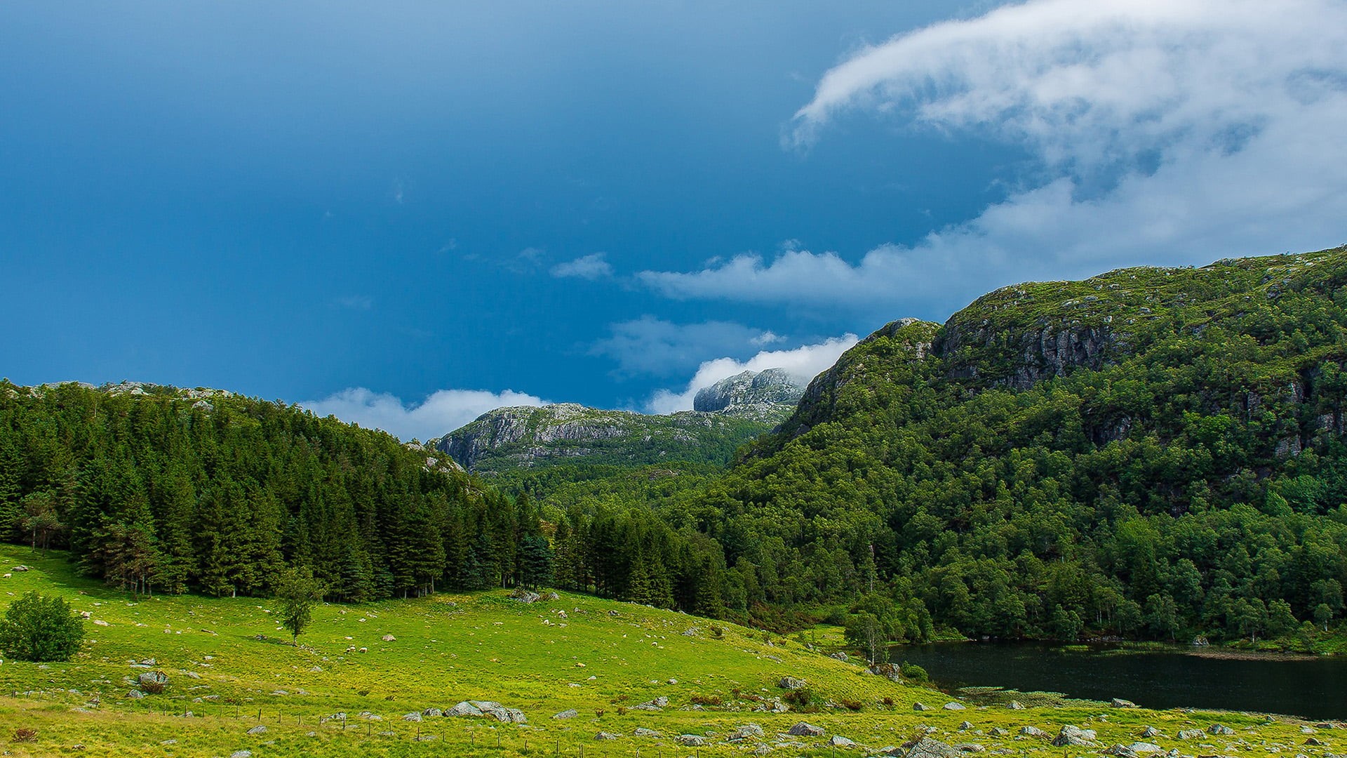 green color, high, travel, no people, nature, meadow, field, hill, idyllic, pine tree, river, woodland, rock, grass, countryside, land, hills, pine woodland, HD Wallpaper