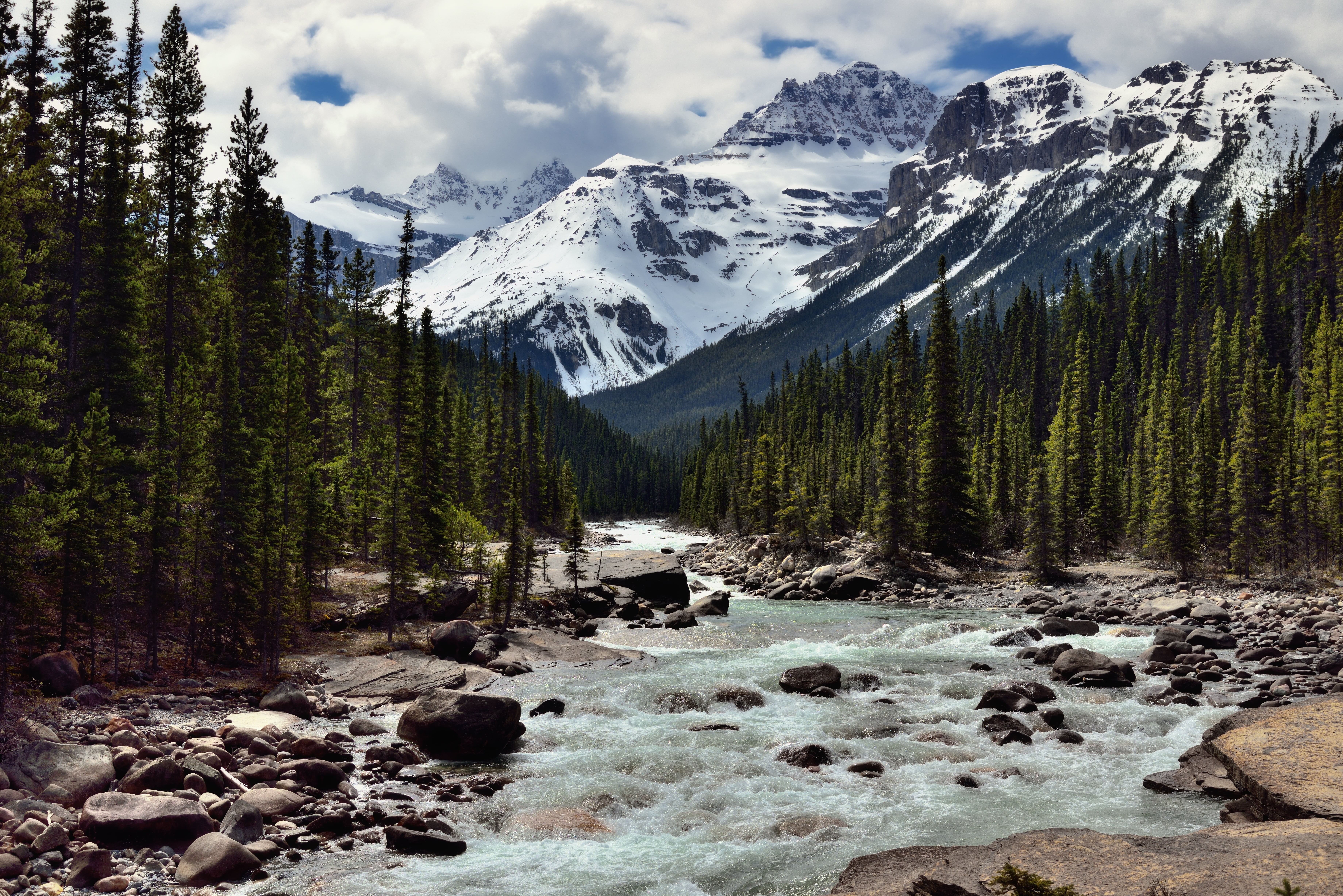 Blue Skies, 5K, Alberta, Highway 93, Distance, Main Ranges, day, Central, Canadian Rockies, Hillside, Nature, SW, Canvas, Kaufmann, Beyond, Nikon D800E, HD Wallpaper