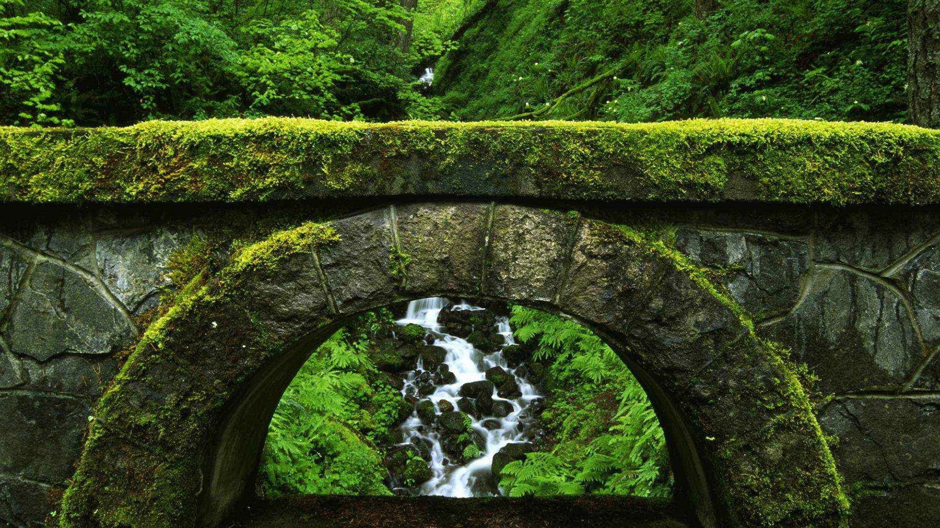 countryside, spring, lake, garden, peaceful, no people, clouds, flowing water, scenery, natural, bridge, solid, moss, rural, rock, country, tree, plant, HD Wallpaper