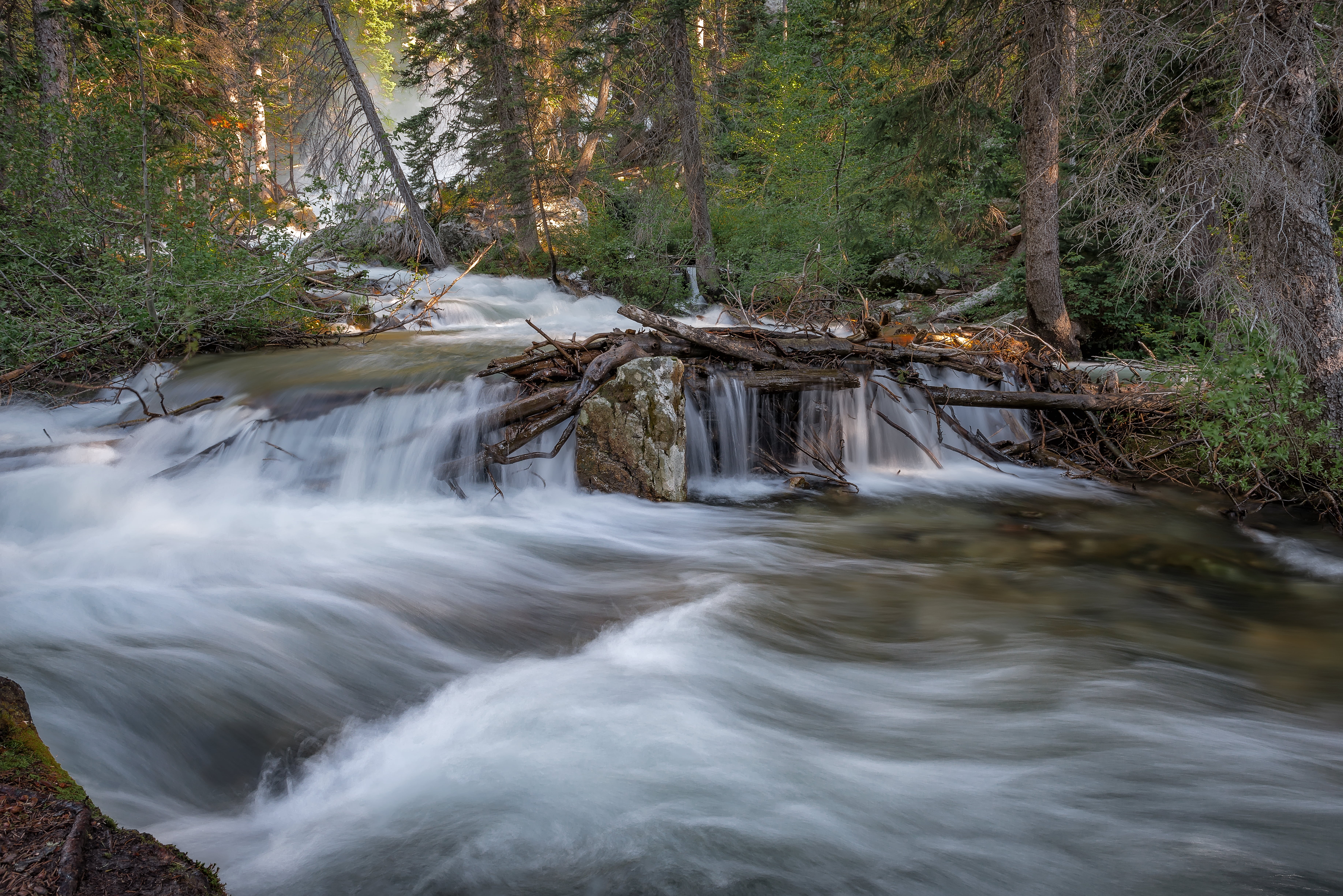 5K, Tourist Attraction, United States, https, Adventures, lat, Outdoor, Nature, Cascade Creek, Pine Tree, National Park, daytime, NP, WY, Hiking, Scenic, HD Wallpaper