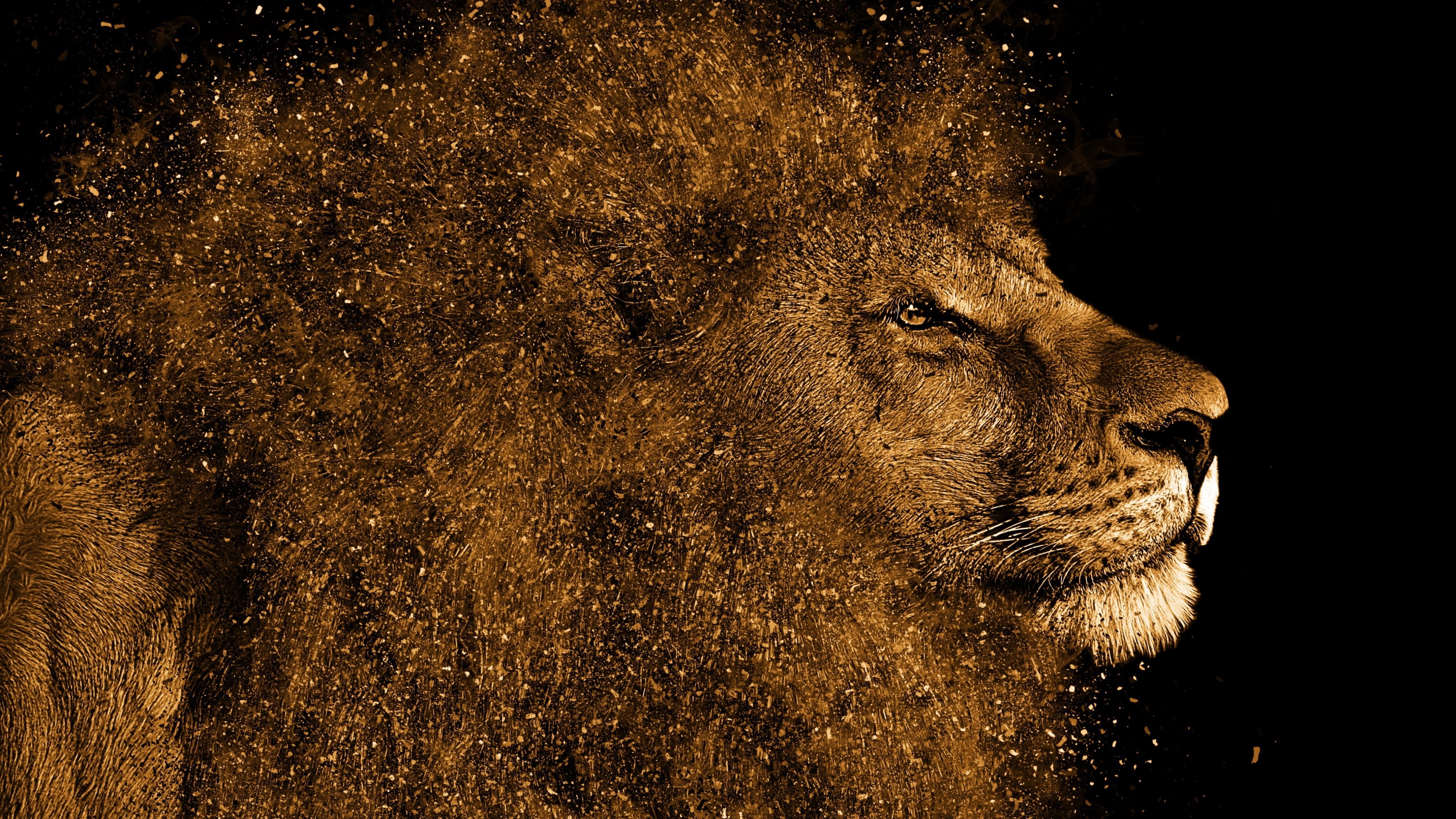 big cat, digital art, 4K, head, lion, dark, HD Wallpaper