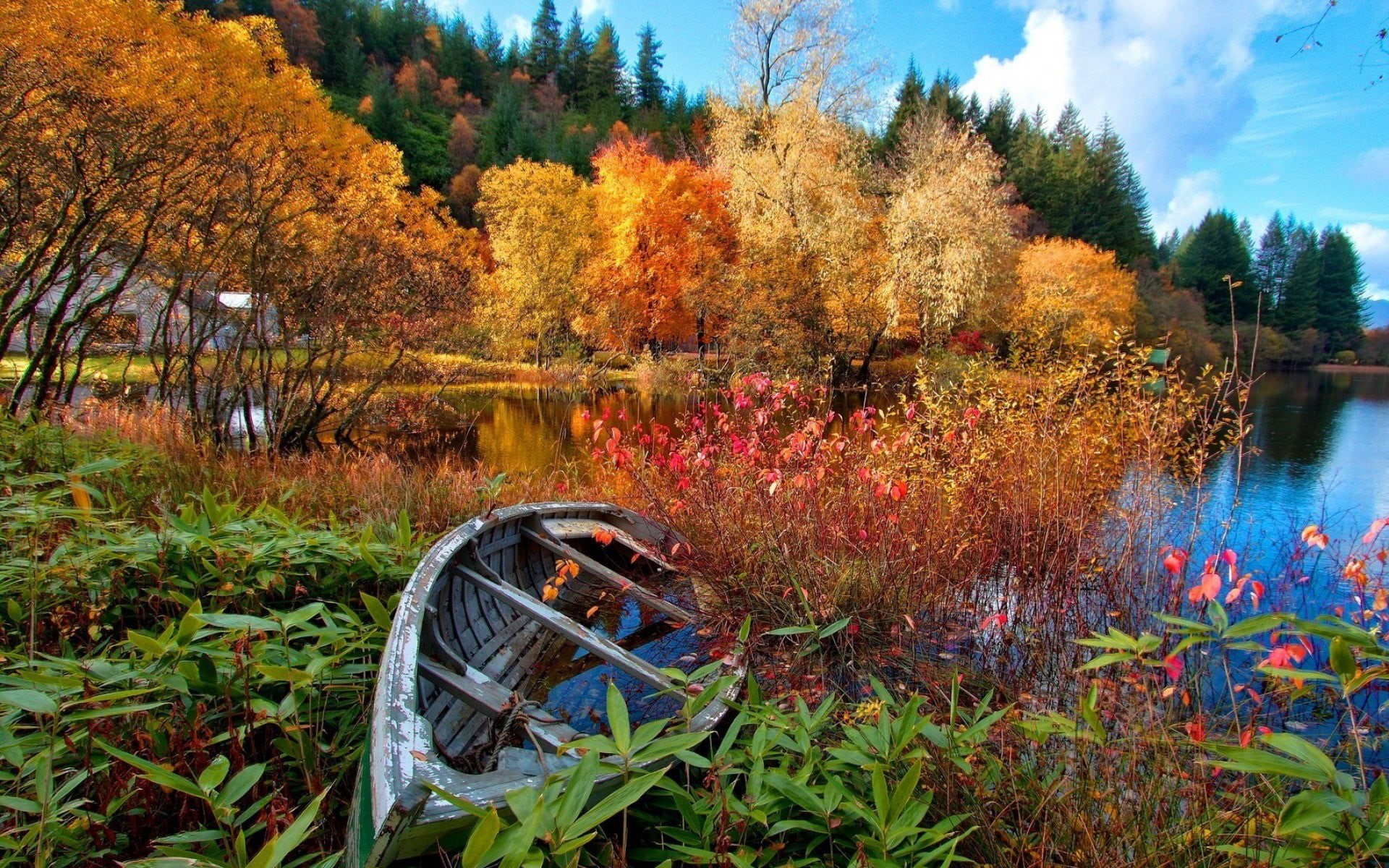 reflection, fall, lake, canoes, october, pond, growth, leaf, green Color, boat, scenics - nature, sky, forest, colors, river, body, water, plant part, orange Color, HD Wallpaper