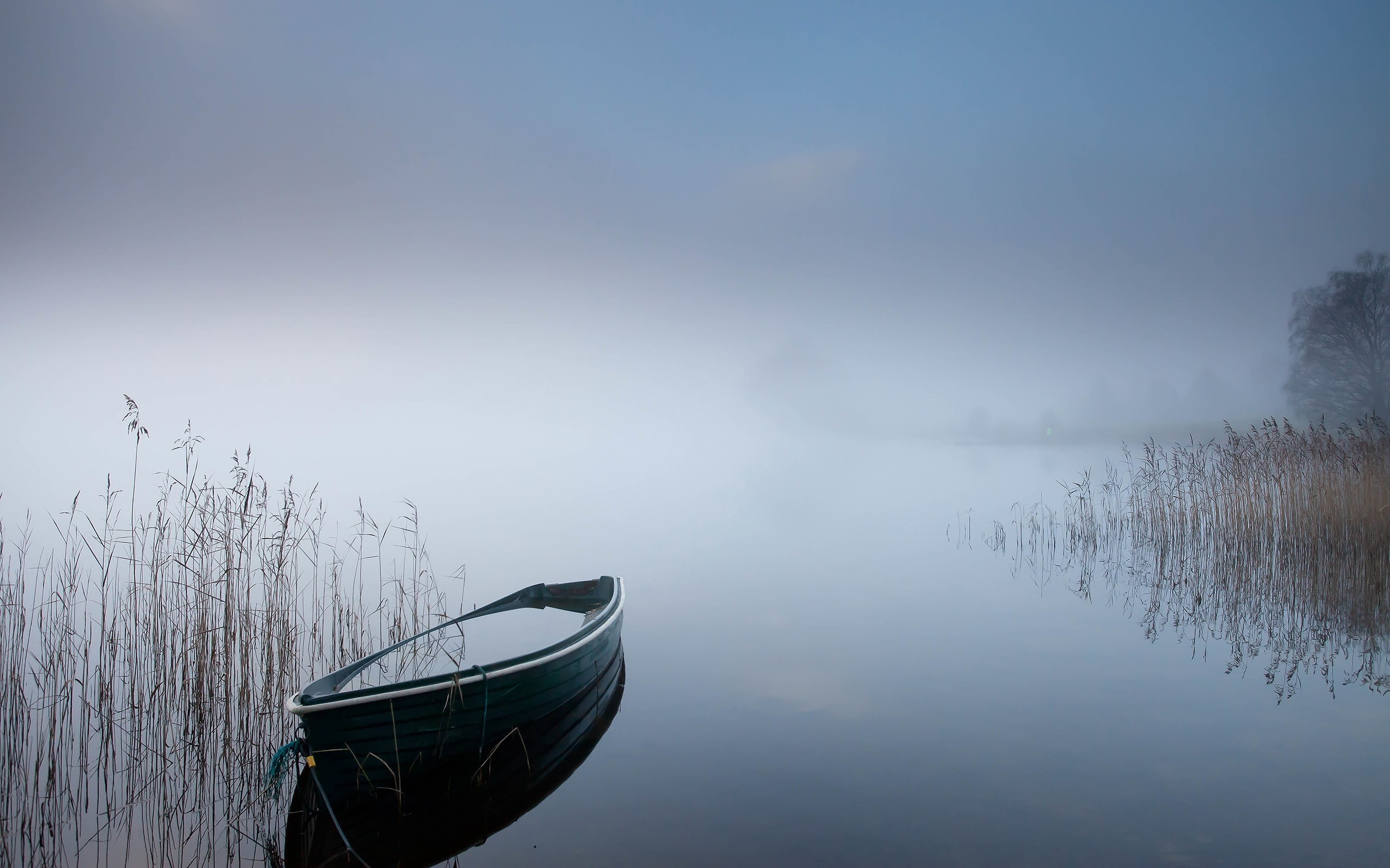 gray, canoe, nature, boat, fog, rowboat, mist, hd, lake, 2K, HD Wallpaper