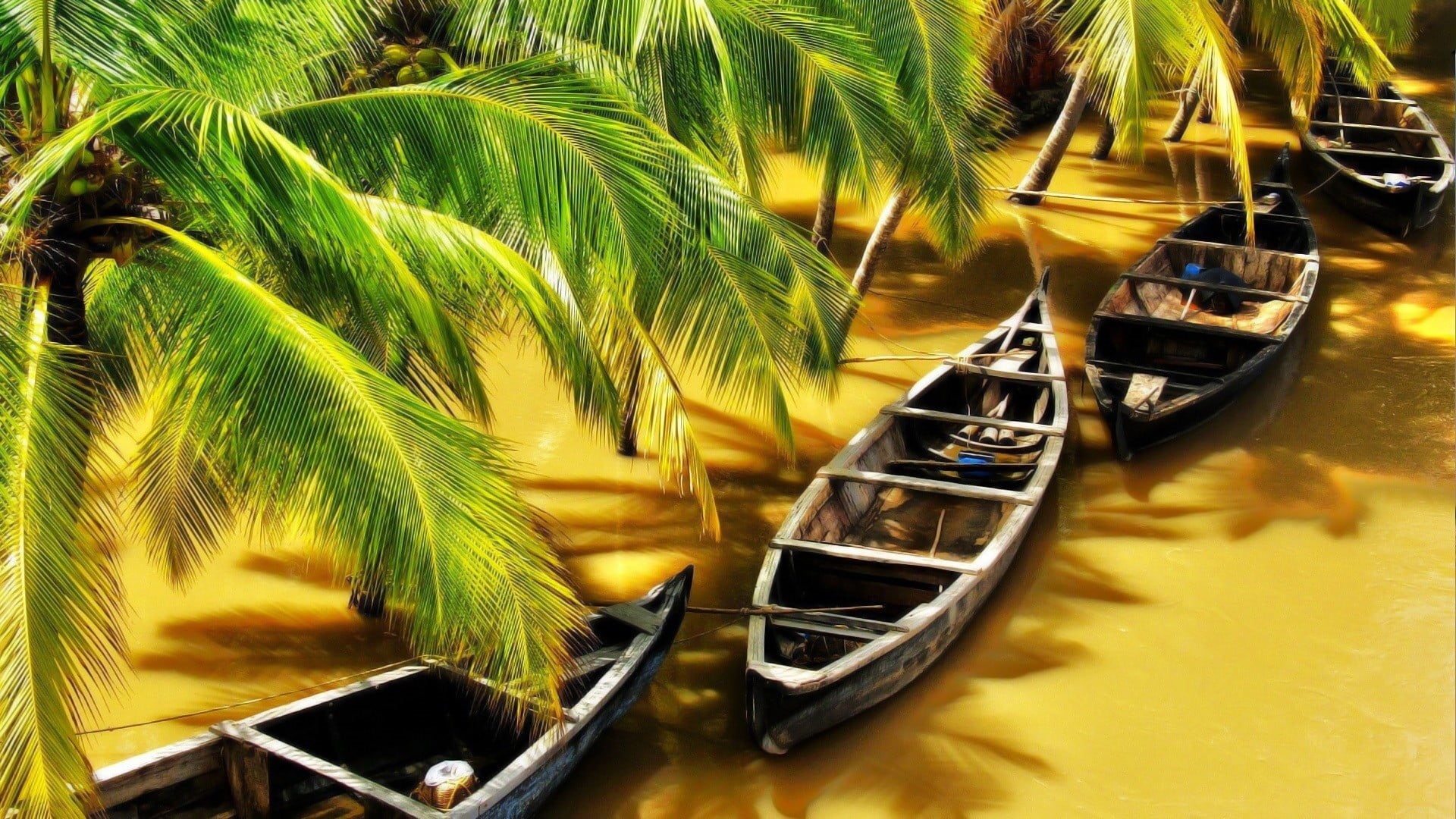 brown, shadow, boat, wood, flood, moored, reflection, tree, water, plant, no people, transportation, travel, 1080P, river, mode of transportation, plant part, HD Wallpaper