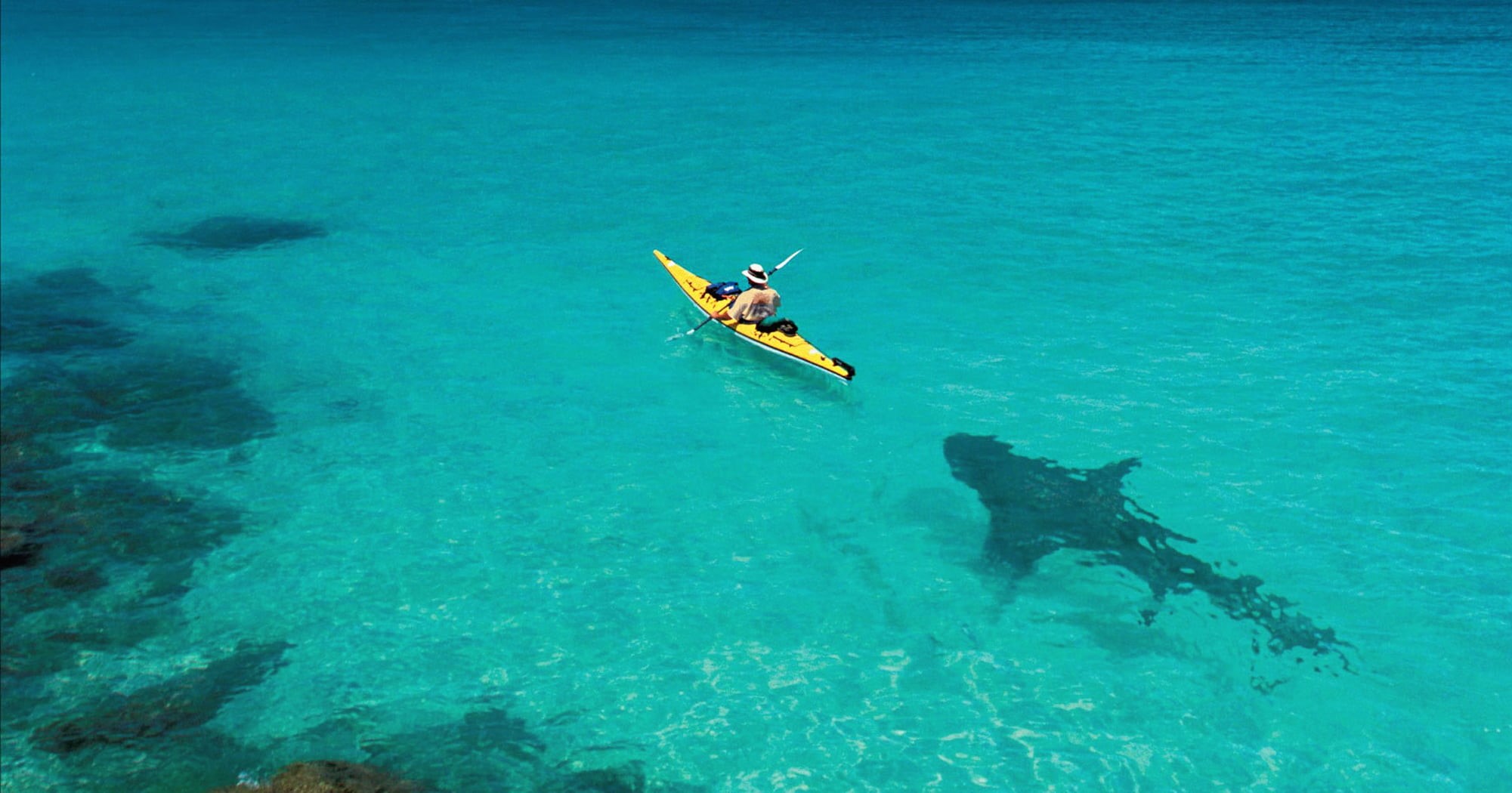 relaxation, boat, vacations, swimming, activity, beach, yellow, coastline, fun, travel Destinations, sea, surfing, wave, aquatic sport, shark, island, surfboard, HD Wallpaper