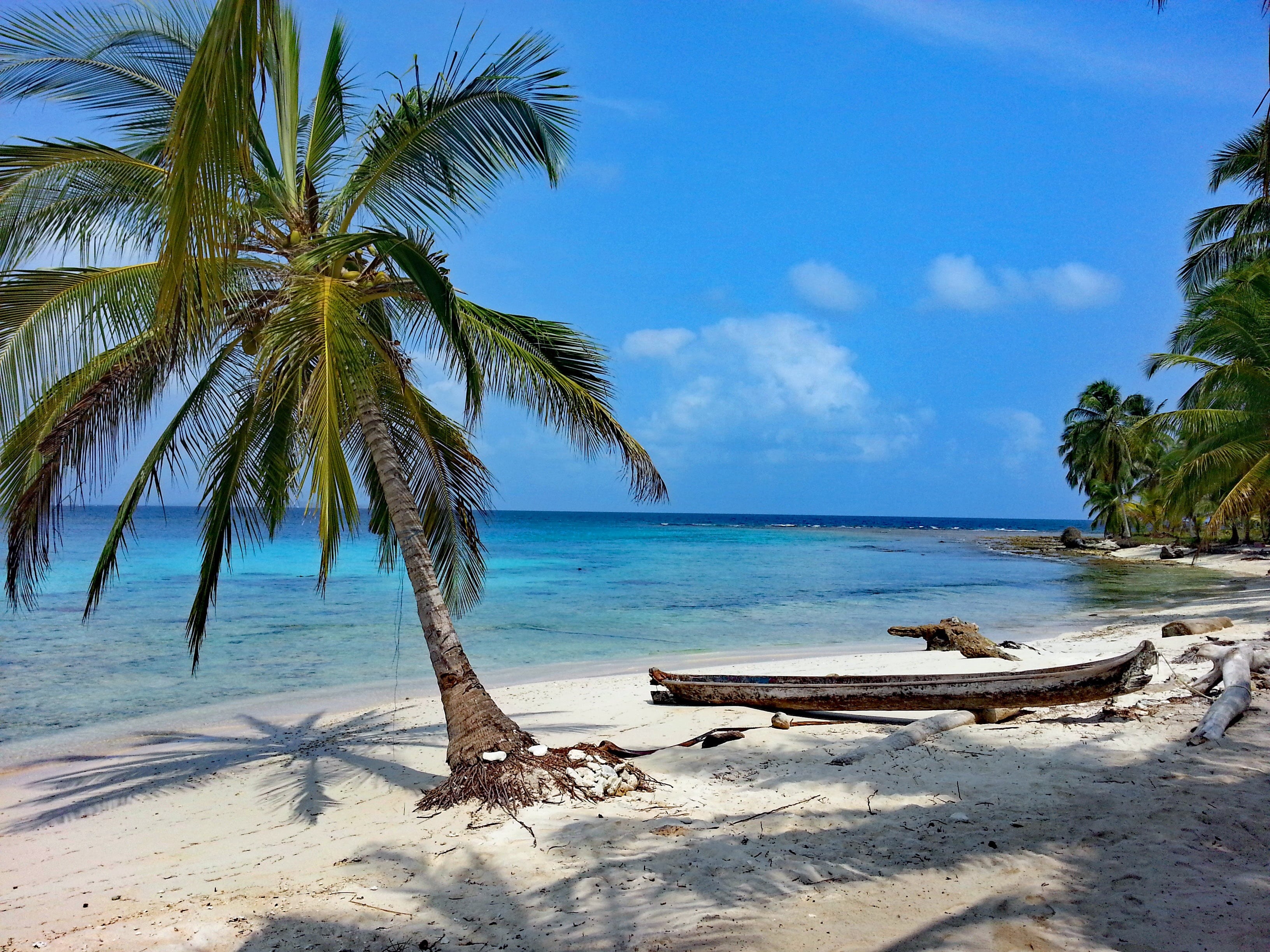 nature, tropical Climate, day, no people, wooden, indians, summer, cloud - sky, tranquility, plant, near, tree, sand, outdoors, tranquil scene, horizon over water, HD Wallpaper